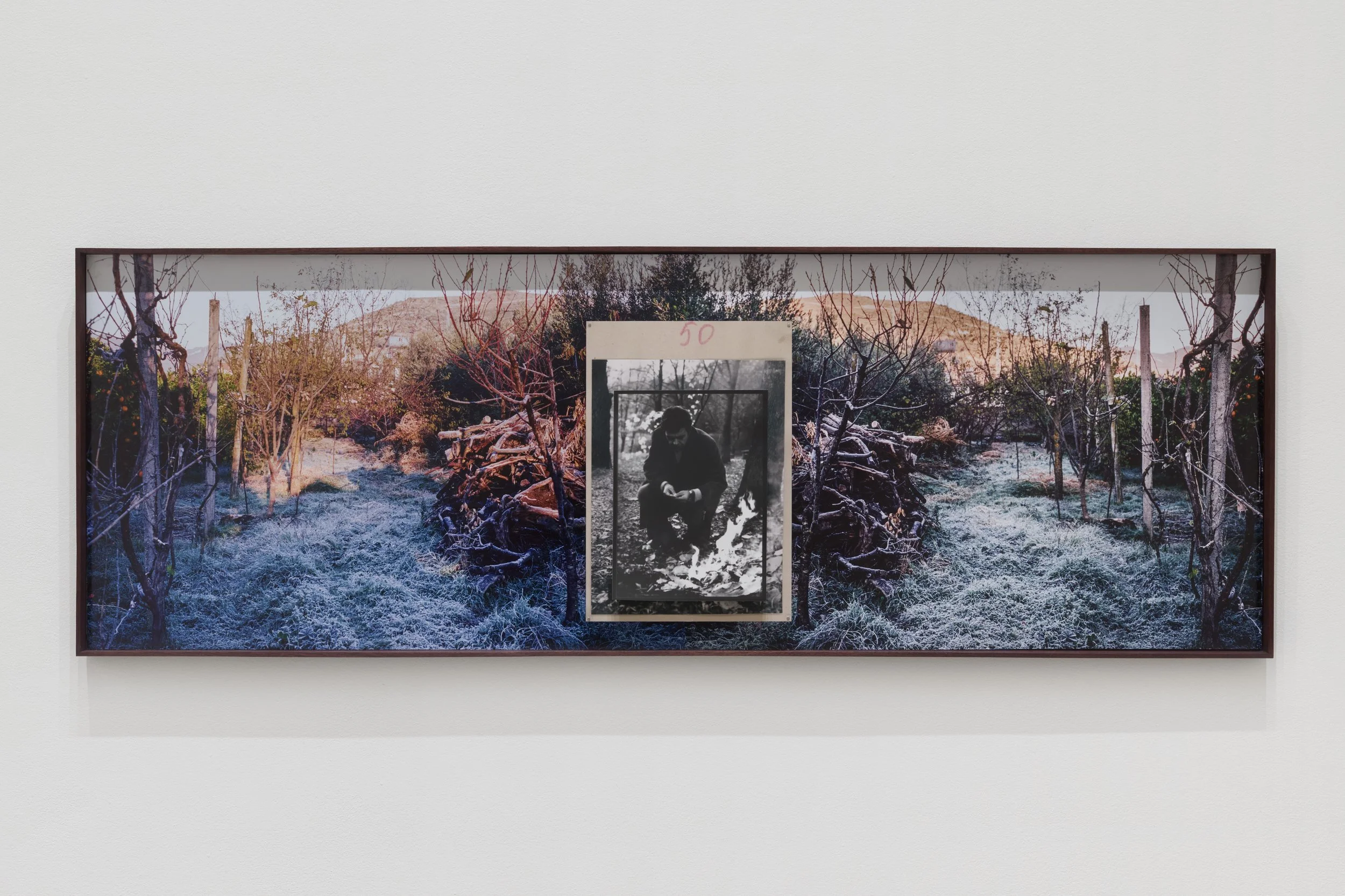 VA_ART_SEVA_MEI_If This Land Could Talk_DETAIL.jpg