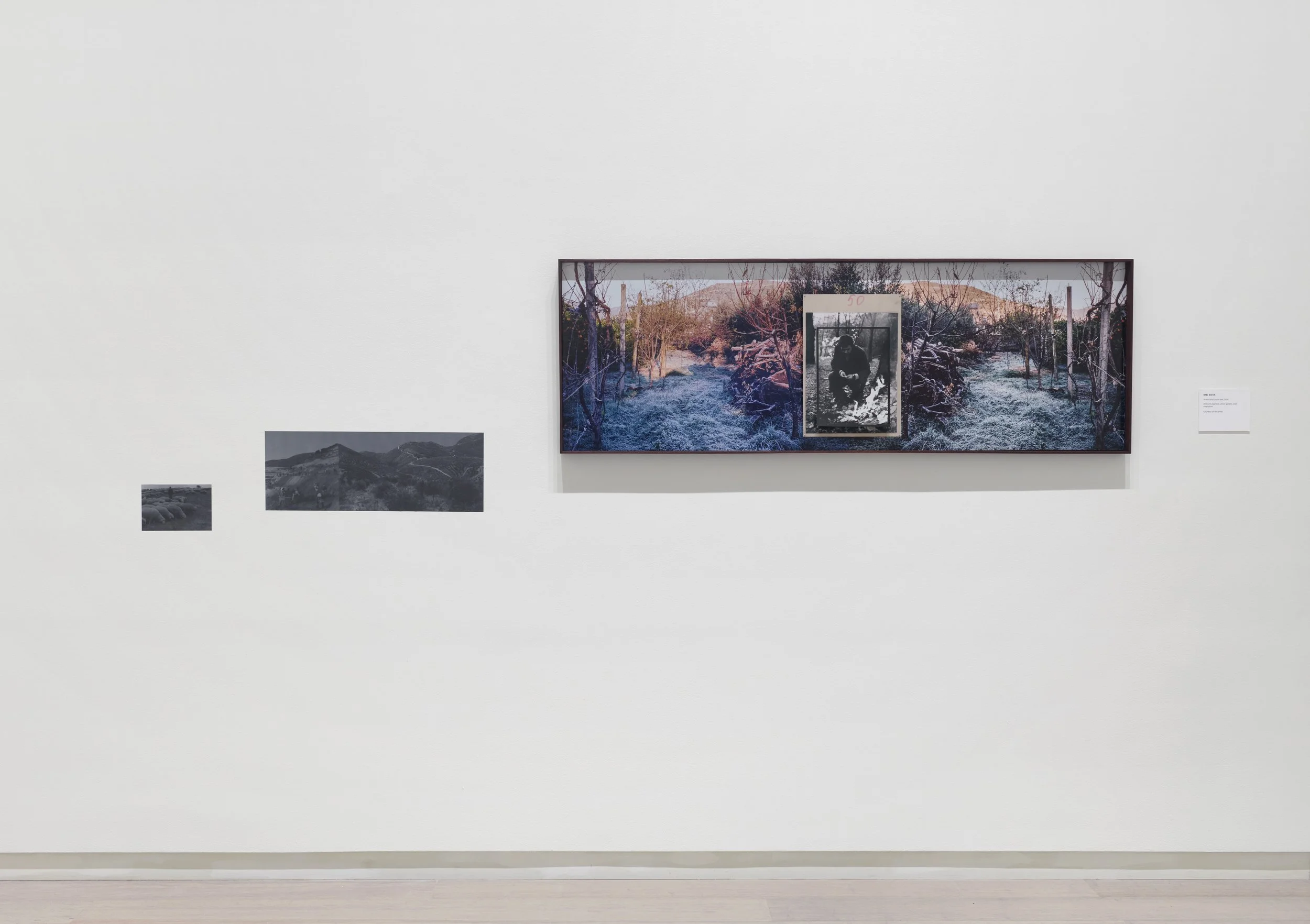 VA_ART_SEVA_MEI_If This Land Could Talk.jpg