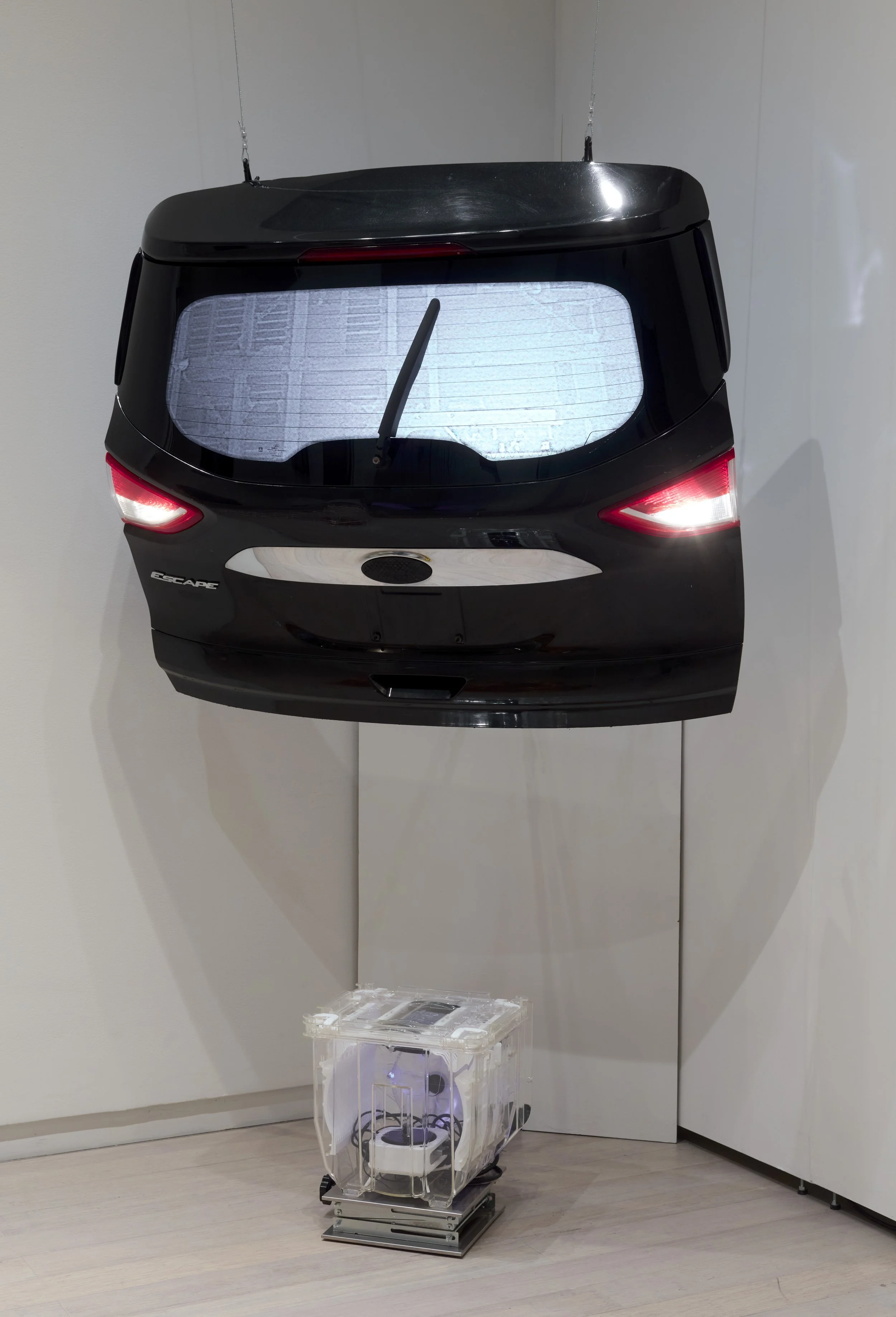 VA_ART_SHIRKEN_BEN_Cache Machine_2.jpg