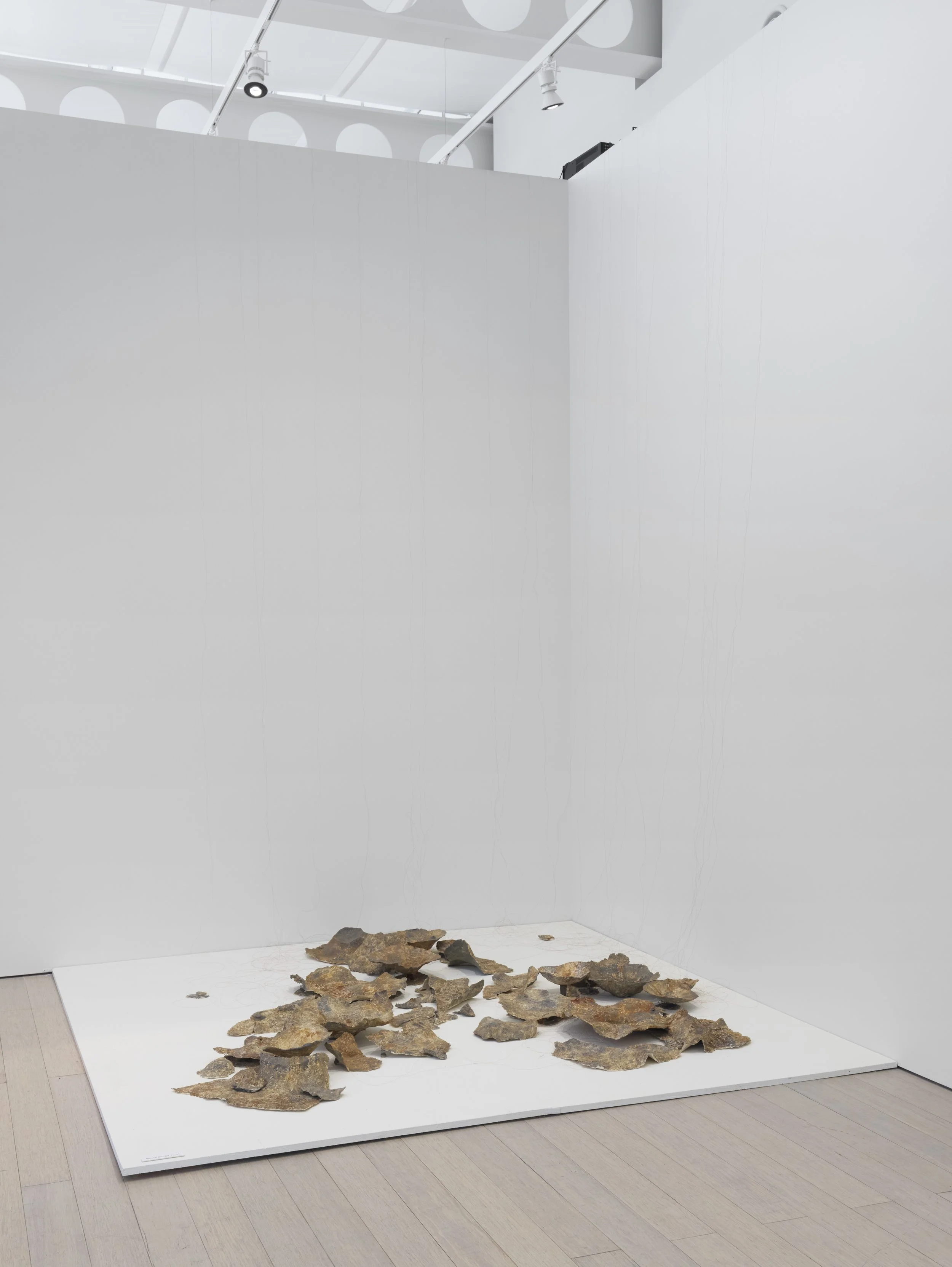 artwork on display in gallery