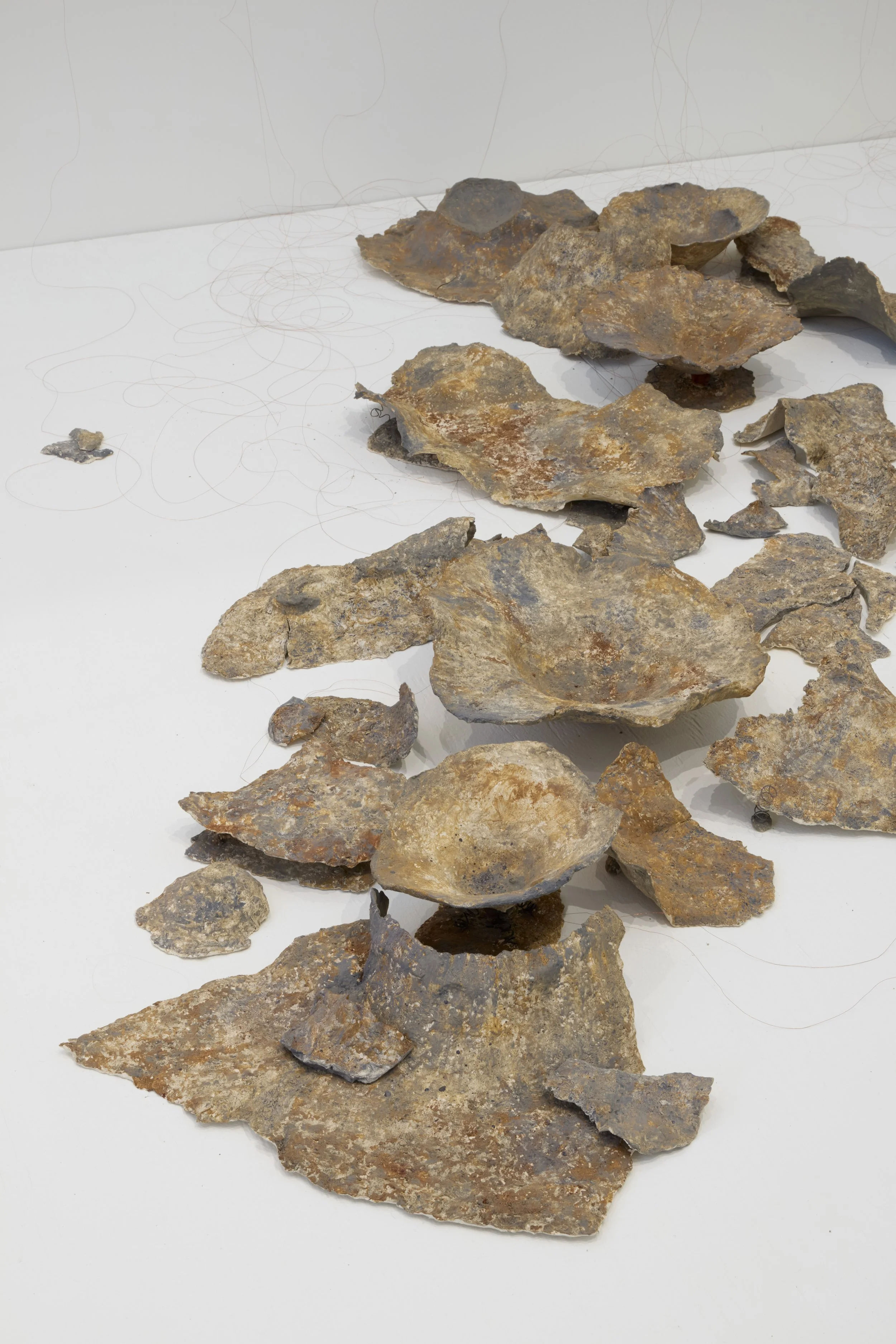 artwork on display in gallery