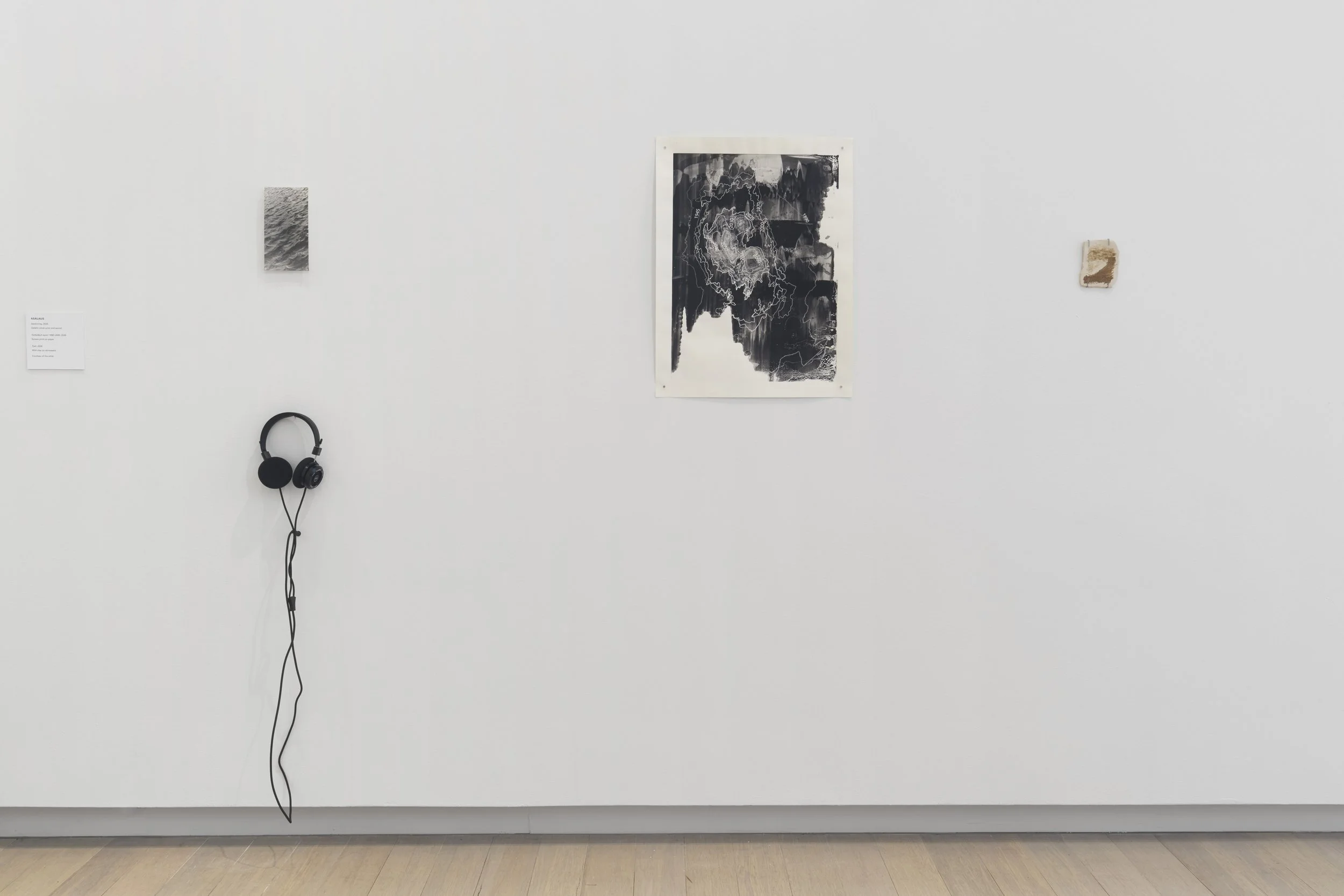 artwork on display in gallery
