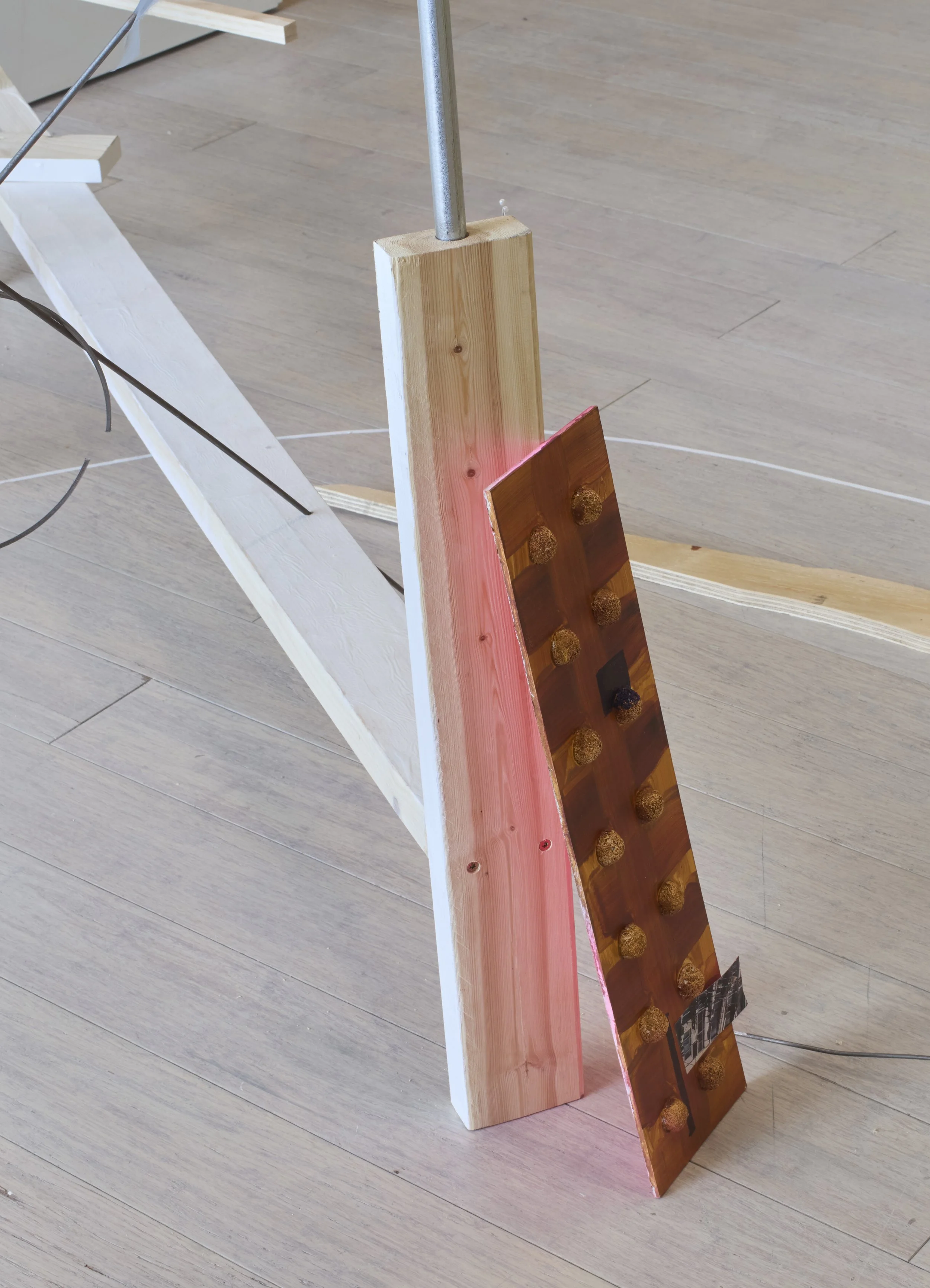 artwork on display in a gallery