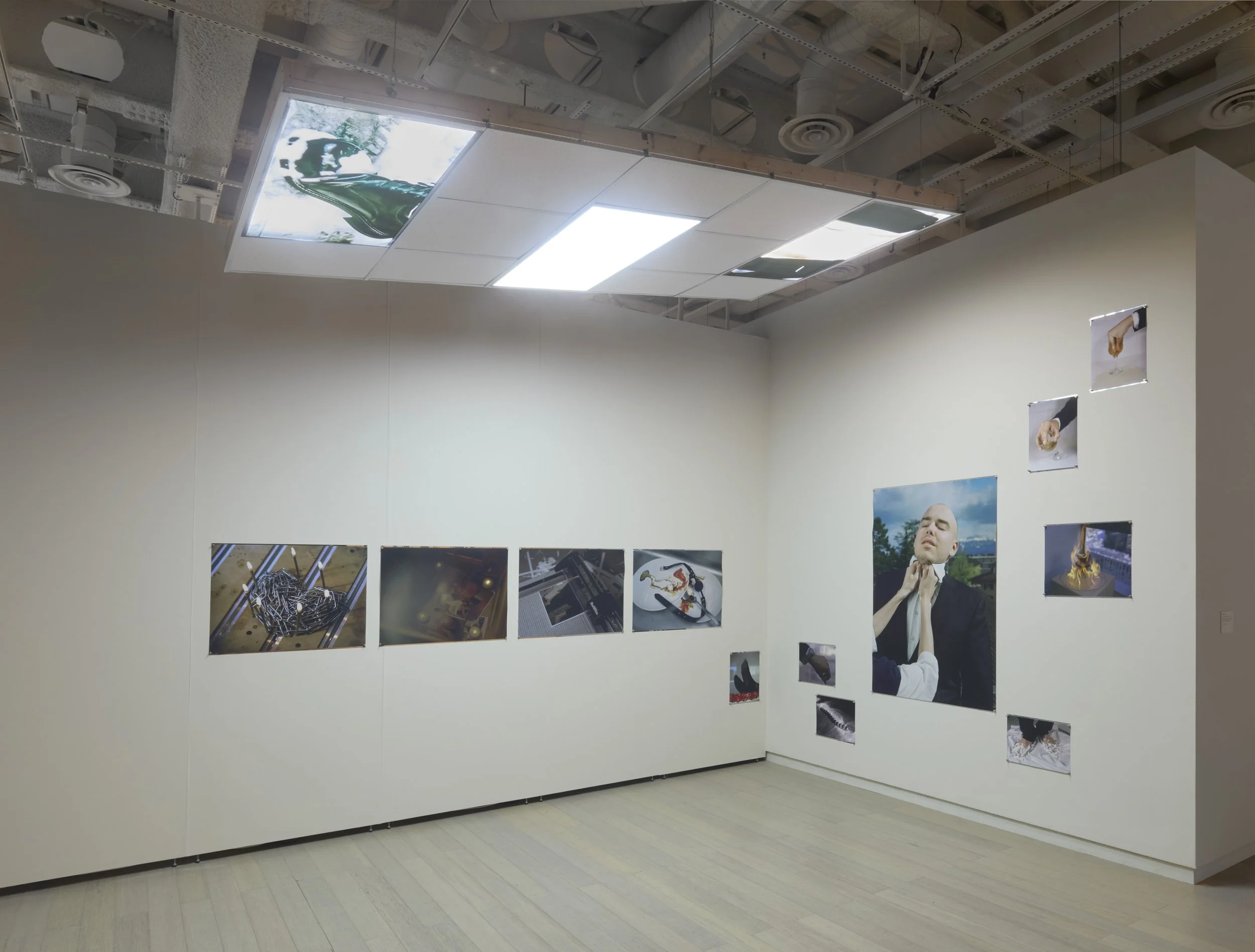 artwork on display in a gallery