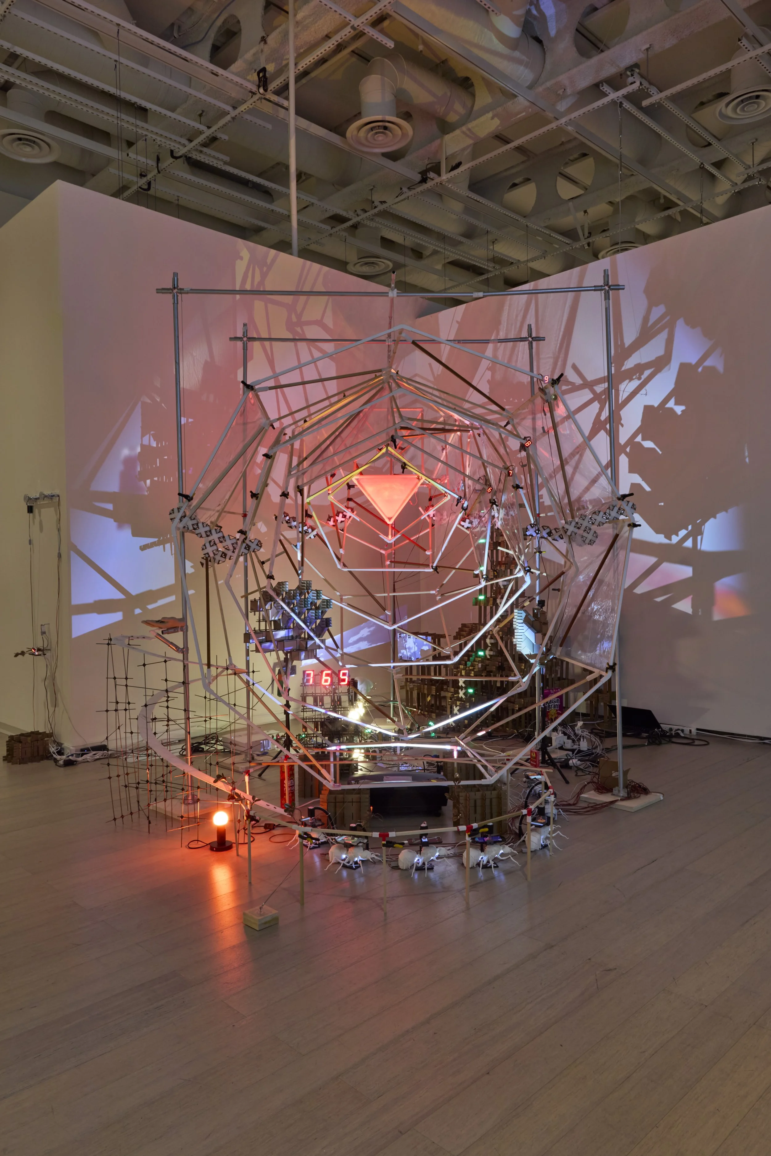 artwork on display in a gallery
