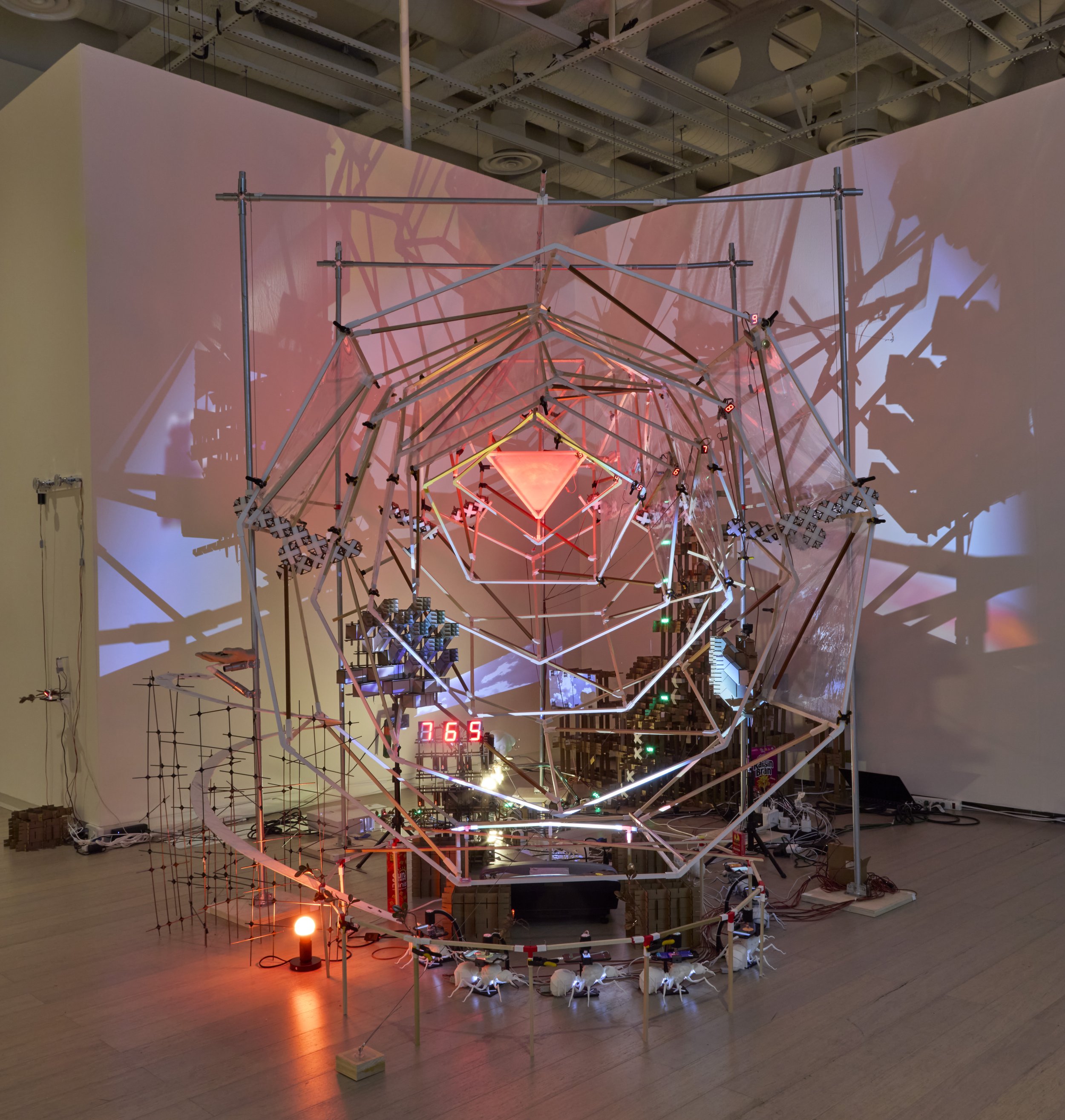 artwork on display in a gallery