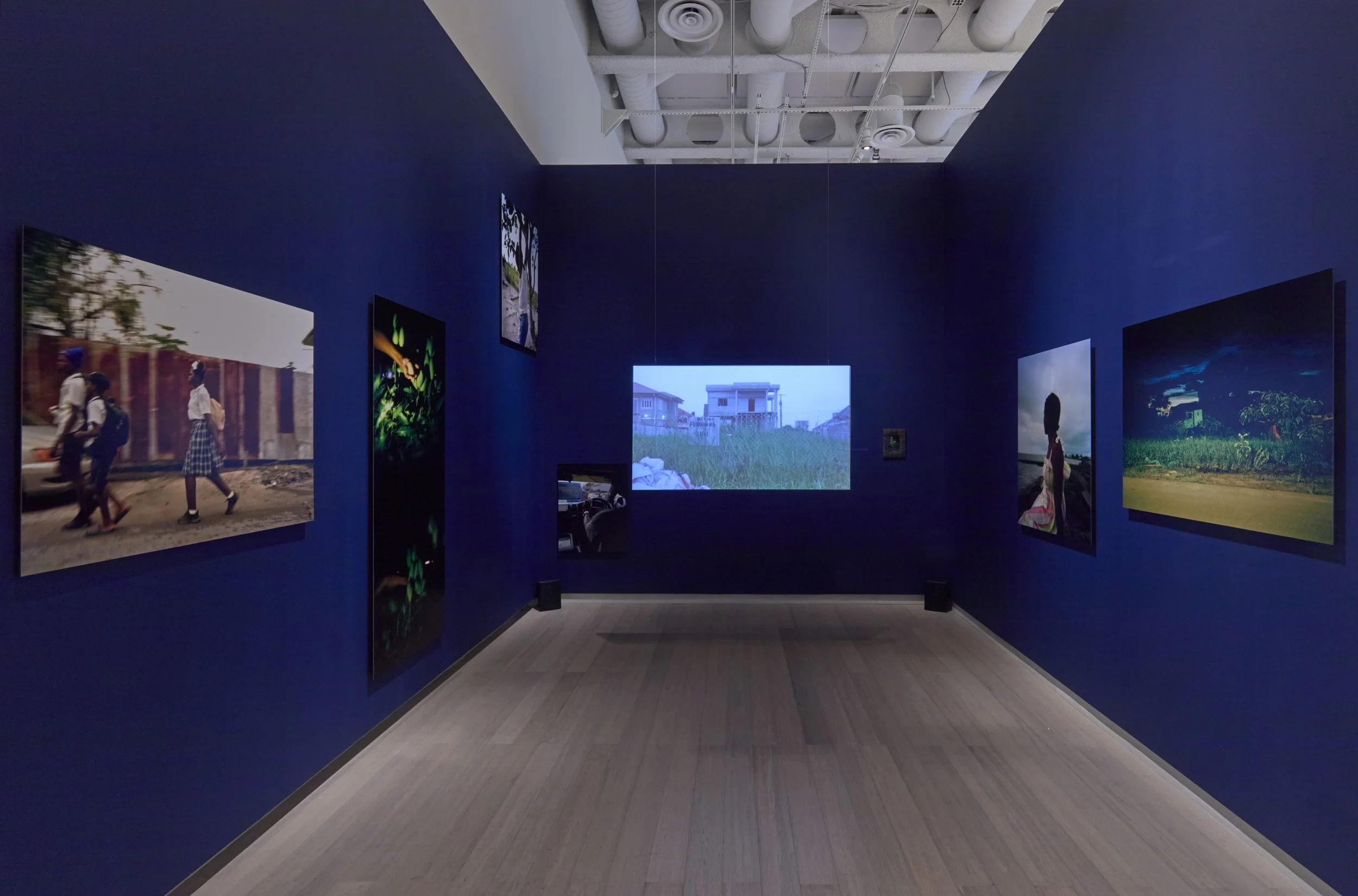 artwork on display in a galler