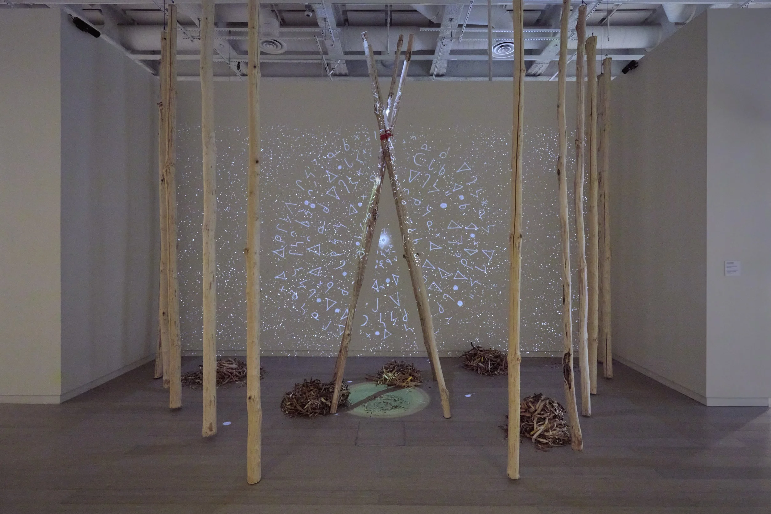 artwork on display in a gallery