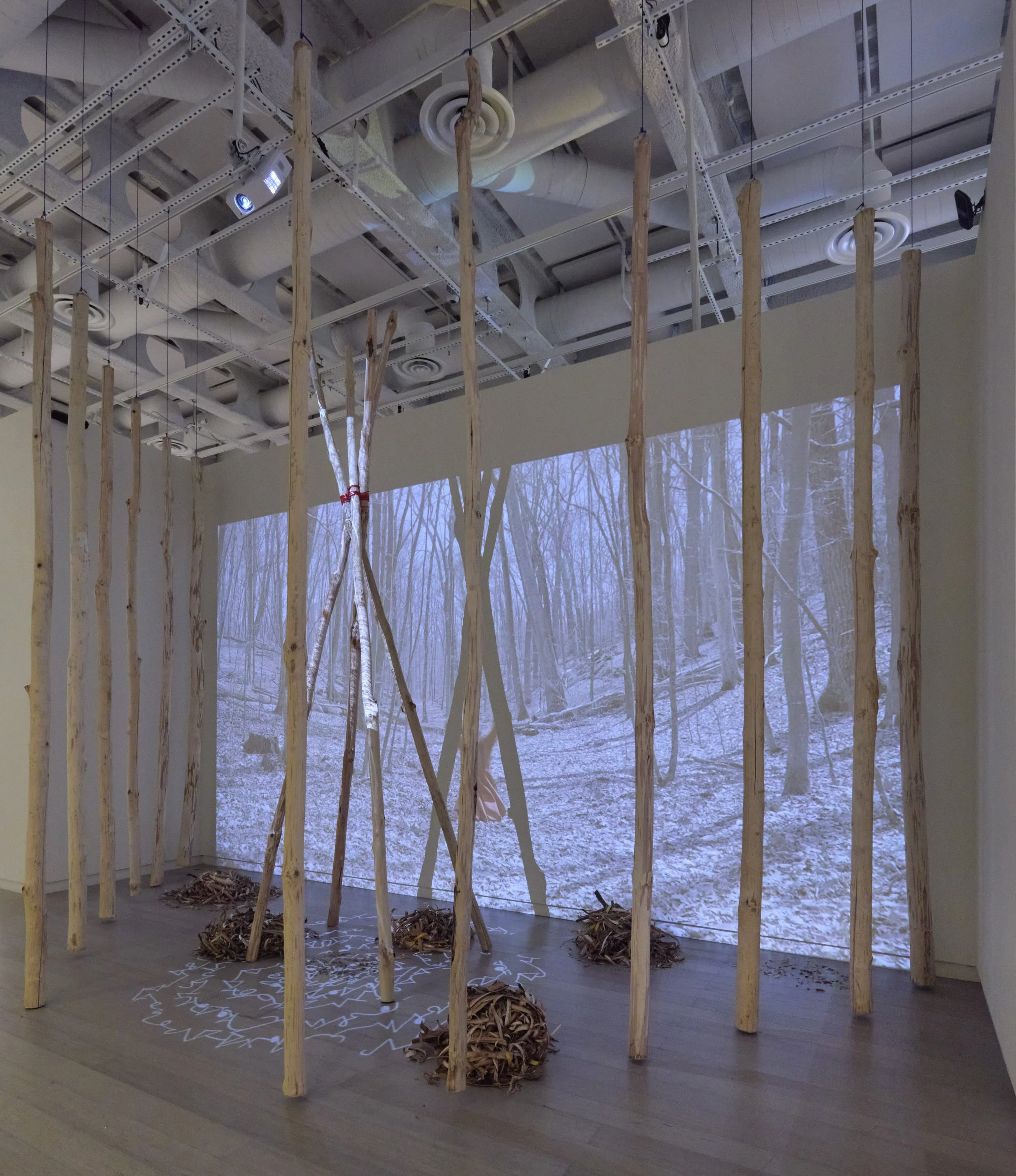 artwork on display in a gallery