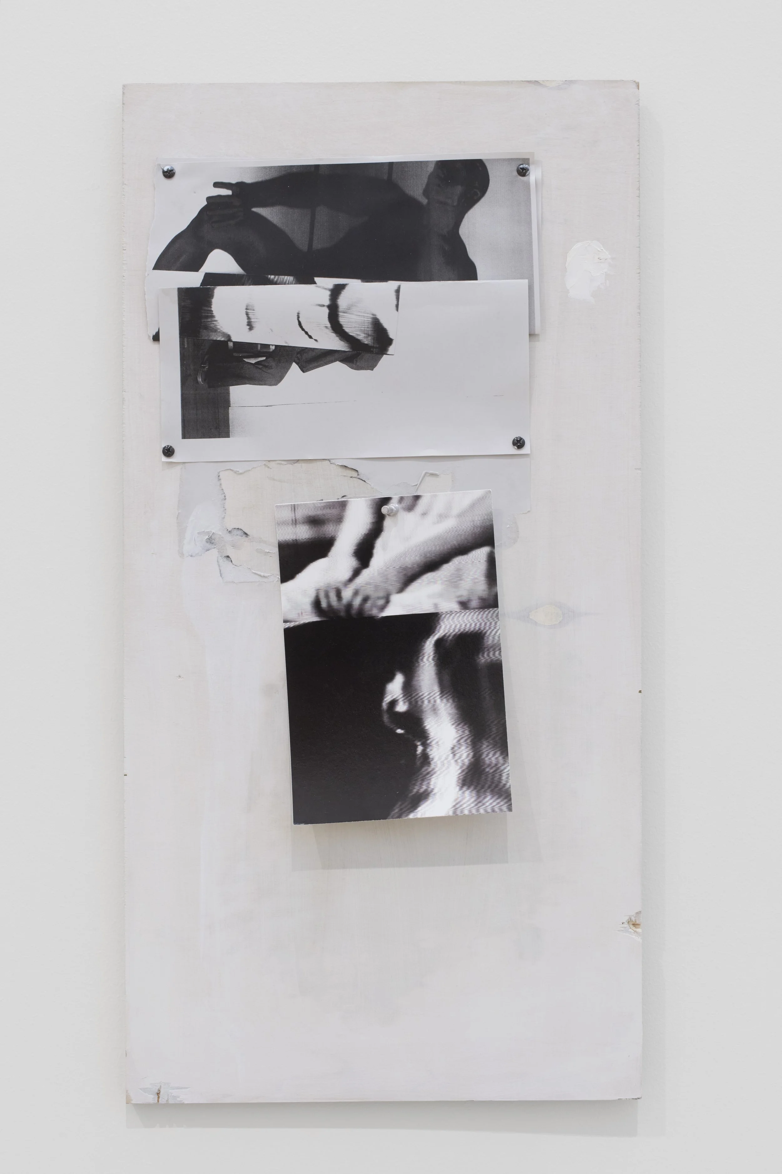 artwork on display in a gallery