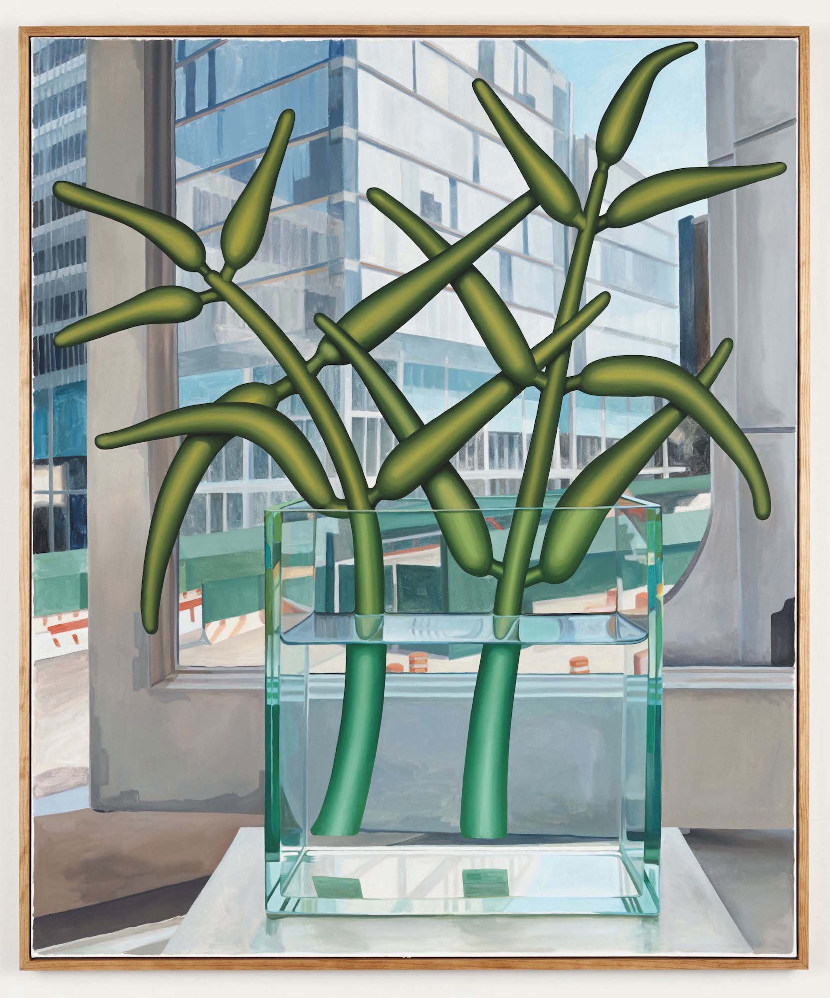 va_art_shafferemilyludwig_myjungle_2016_thesiswork.jpeg