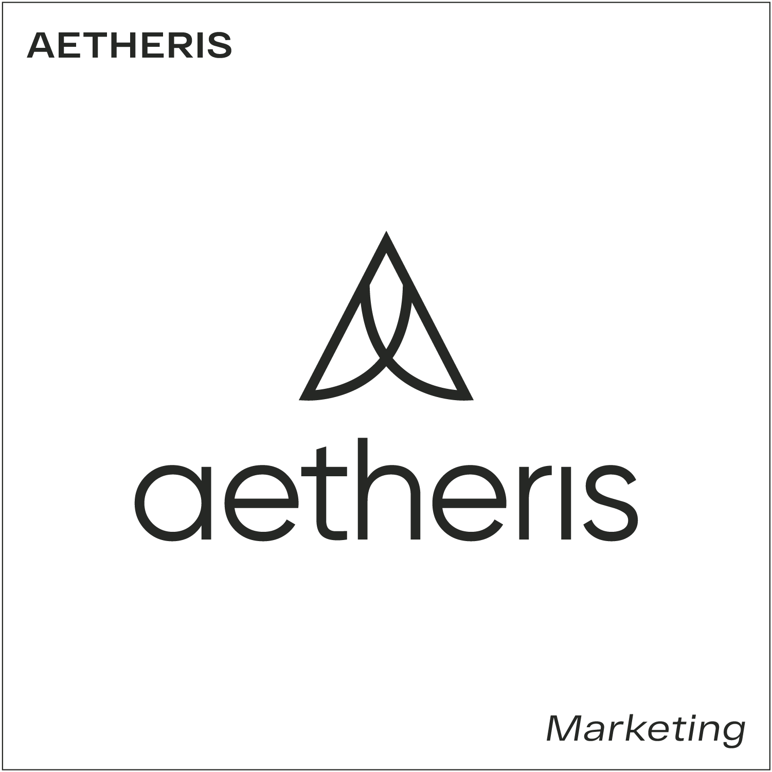 Web-Work-Logofolio-aetheris.png