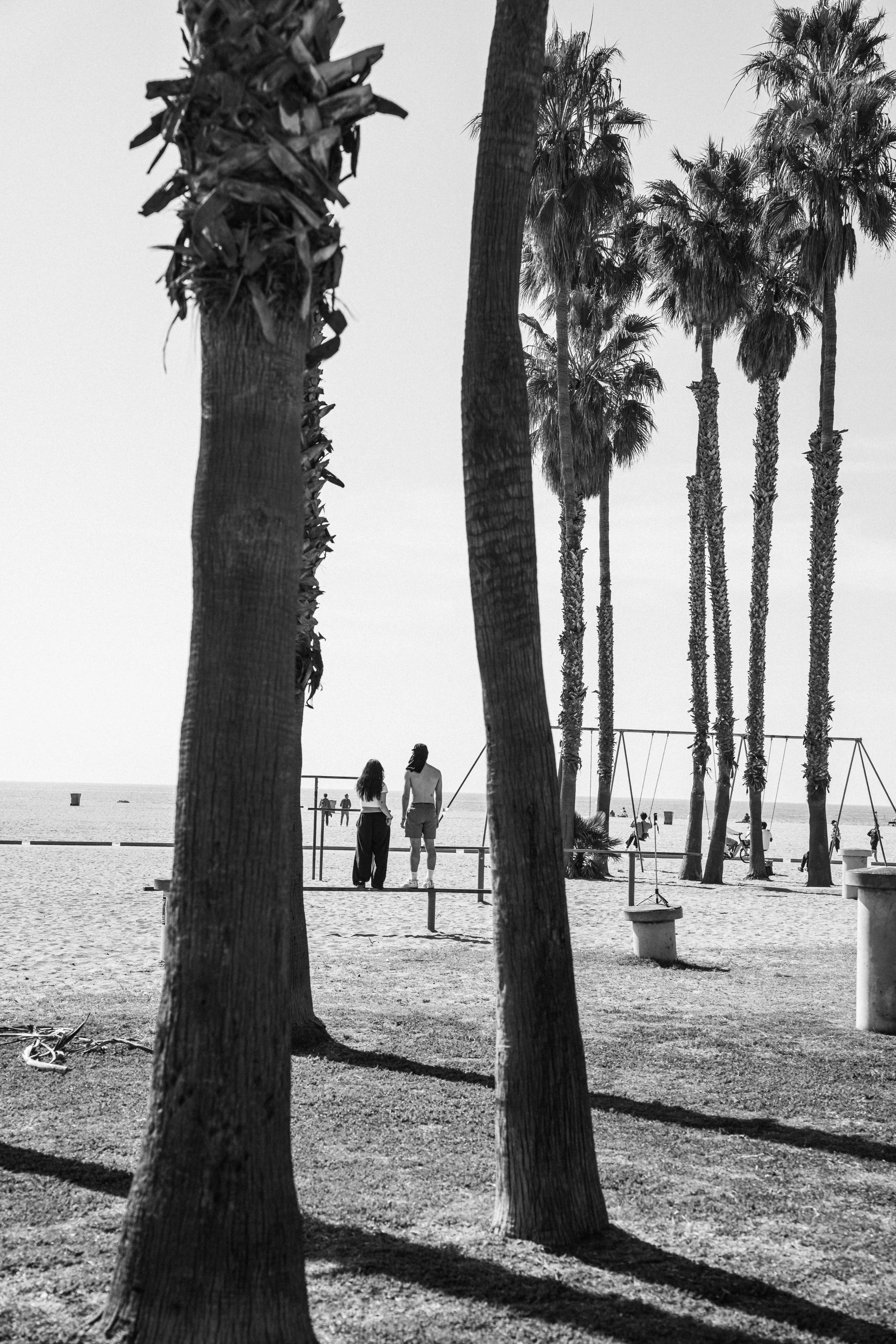TMP_Malibu_SantaMonica_FINAL_BW_02072026_123.jpg