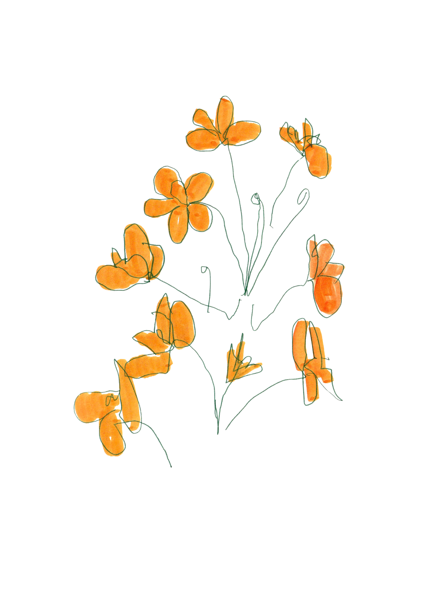 yellow flowers_J.Livingston.png