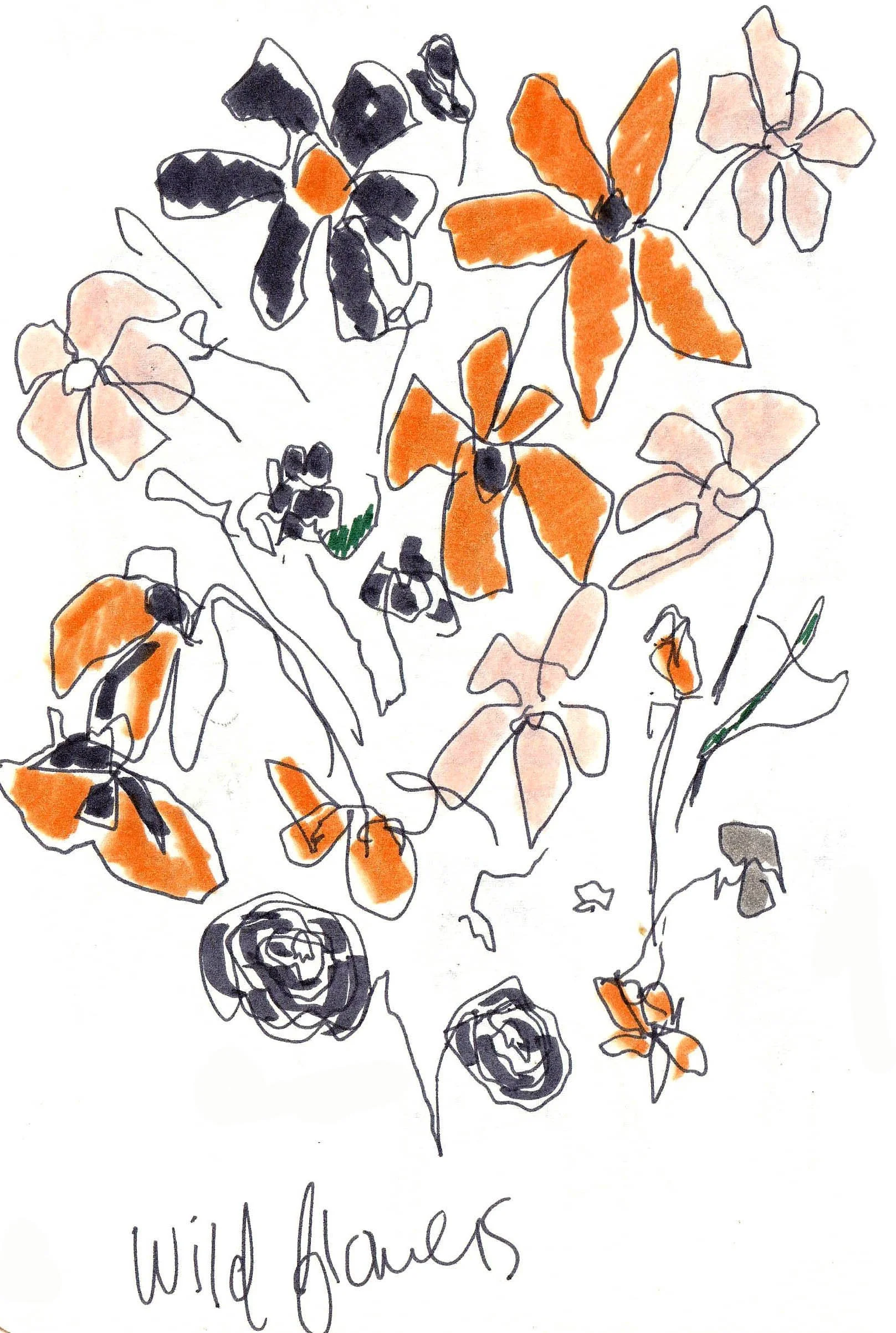 wildflowers J_Livingston.jpg