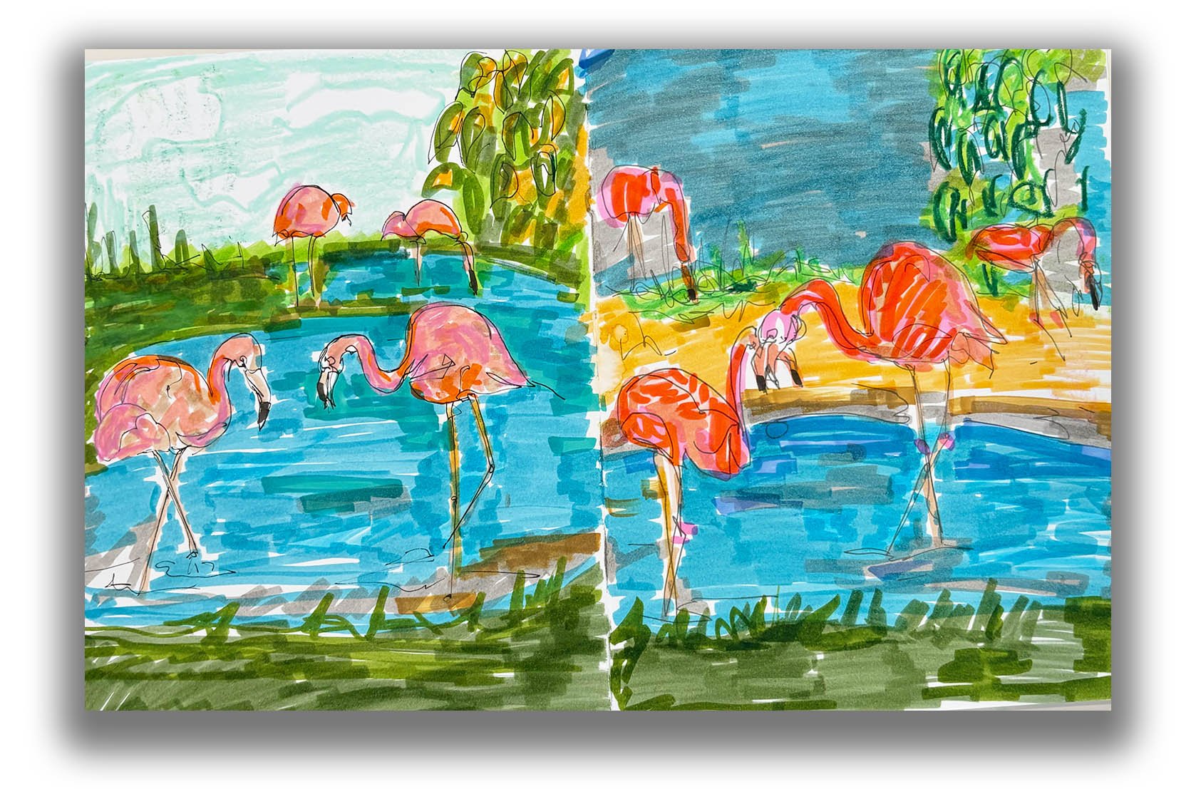 A colorful, hand-drawn illustration of flamingos by water, split into two scenes, one with a green landscape and the other with a more arid, sandy environment, both featuring flamingos standing or wading.