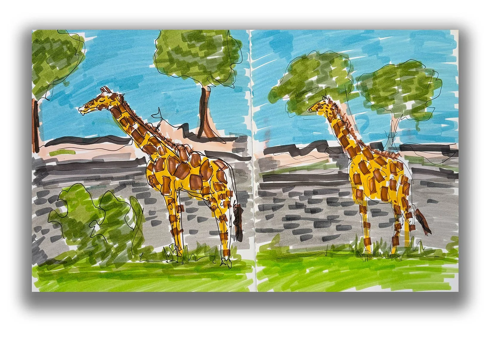 A hand-drawn picture of a giraffe standing on grass with a blue sky and green trees in the background, shown twice side by side with slight variations.