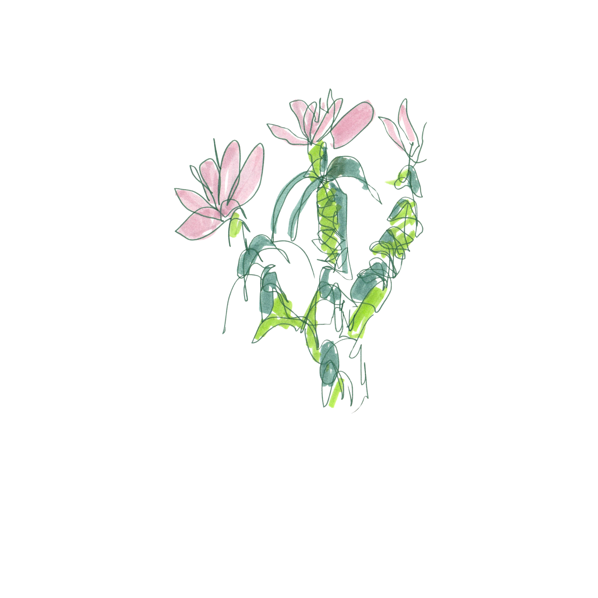 tropical floral.png