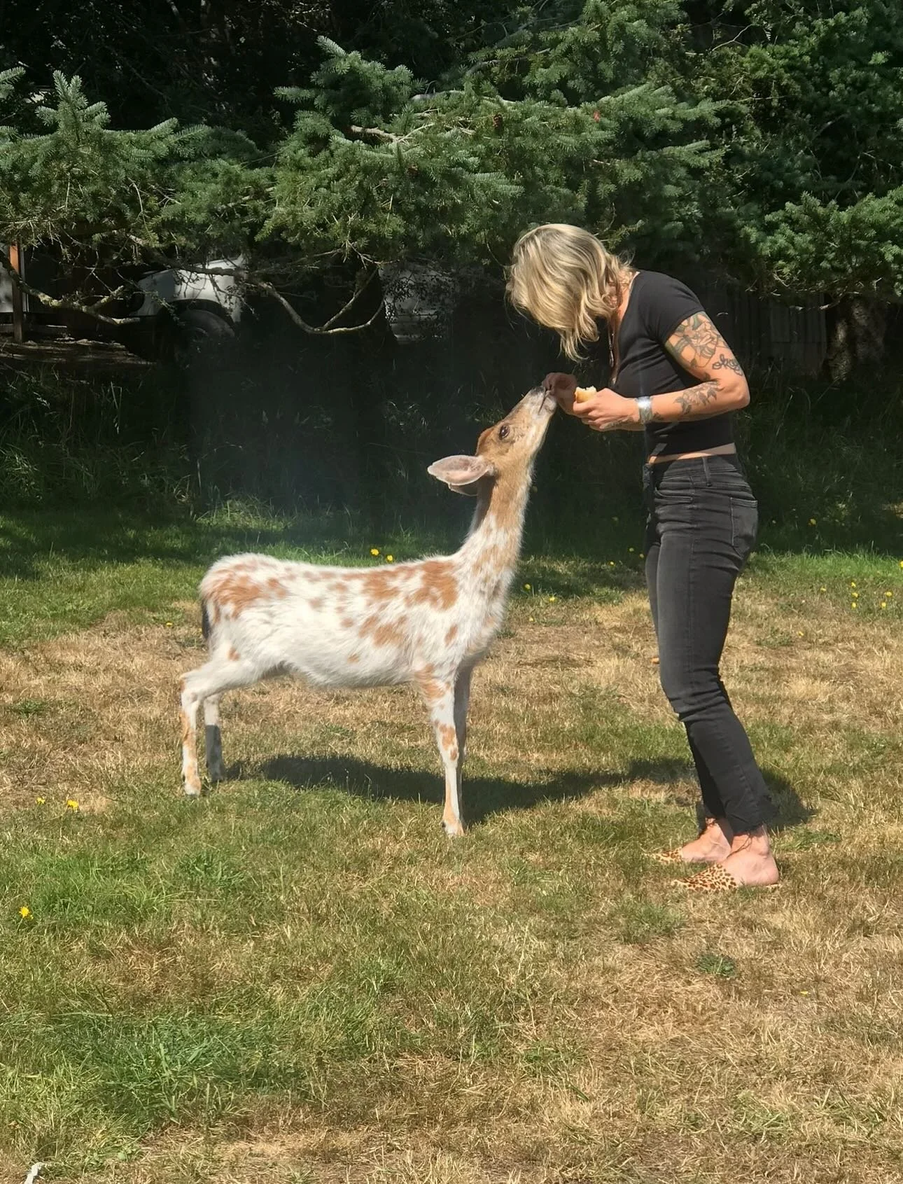 It doesn&rsquo;t get better than Orcas Island..