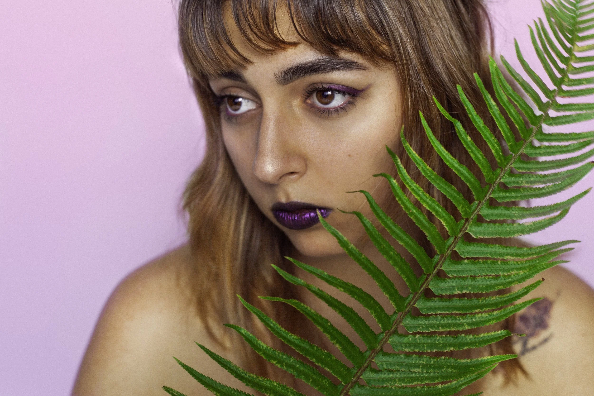 fern.jpg