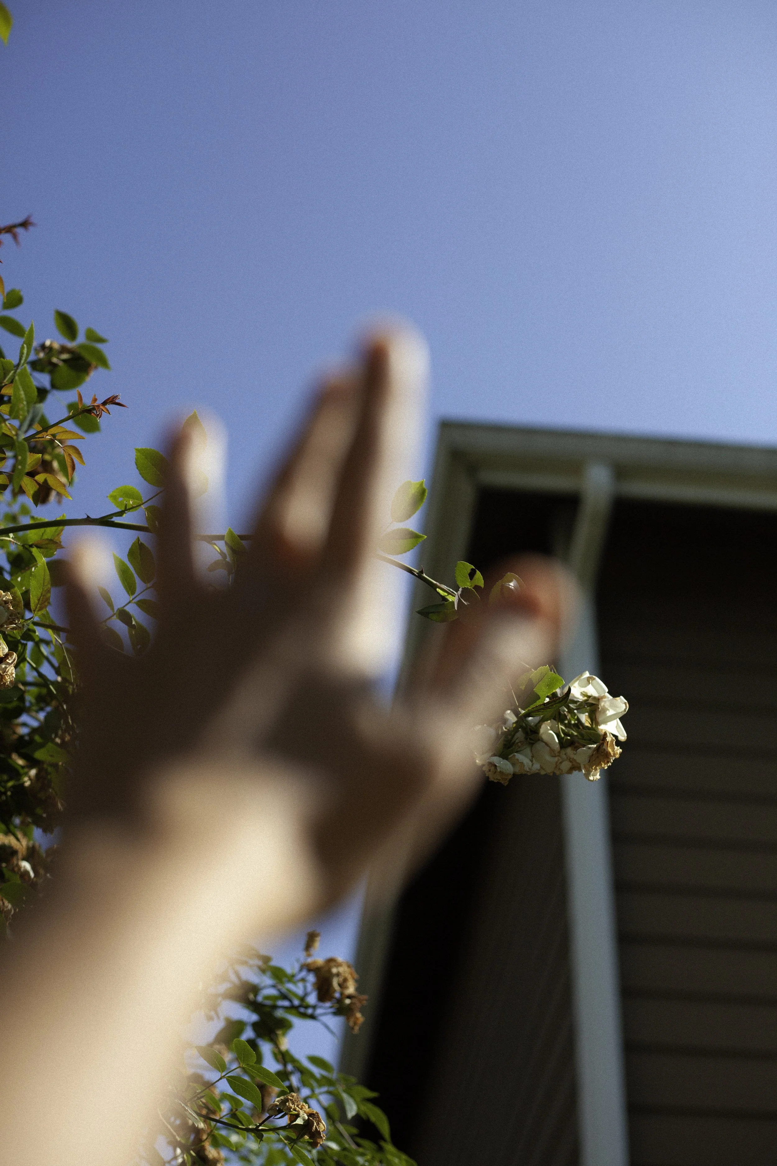 home_still2.jpg