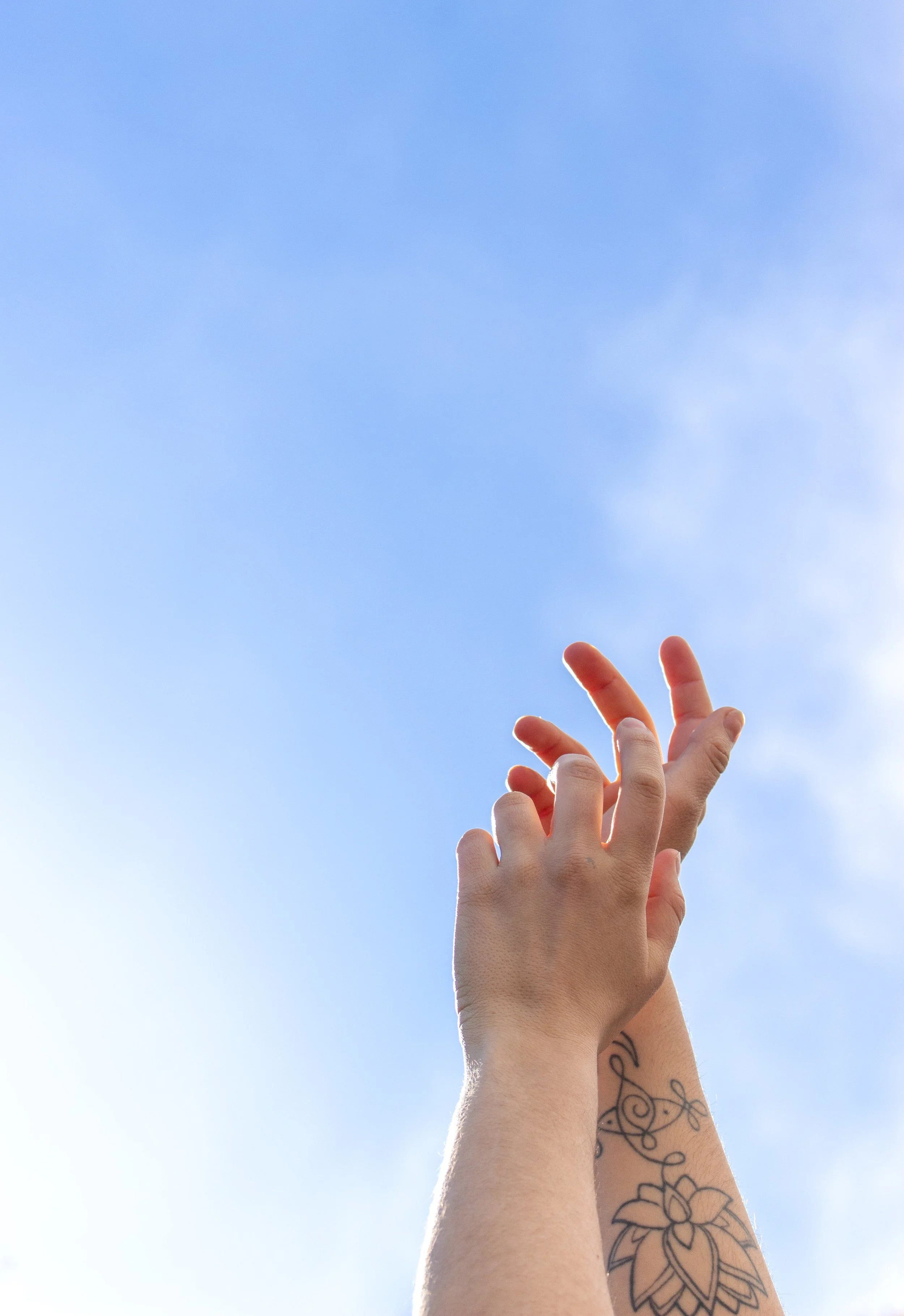 11. estirando al cielo.jpg