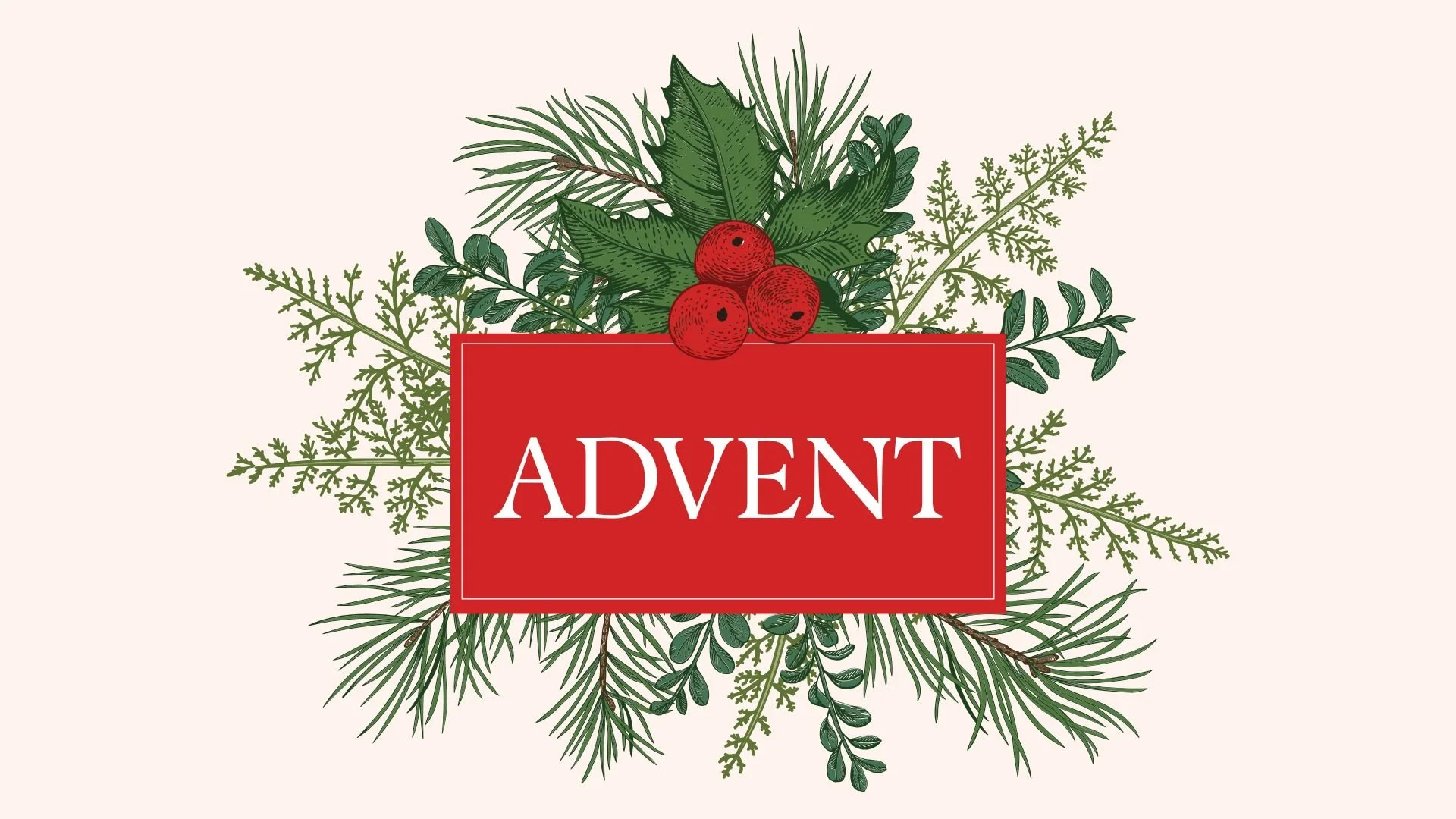 Advent Week 3 | Joy