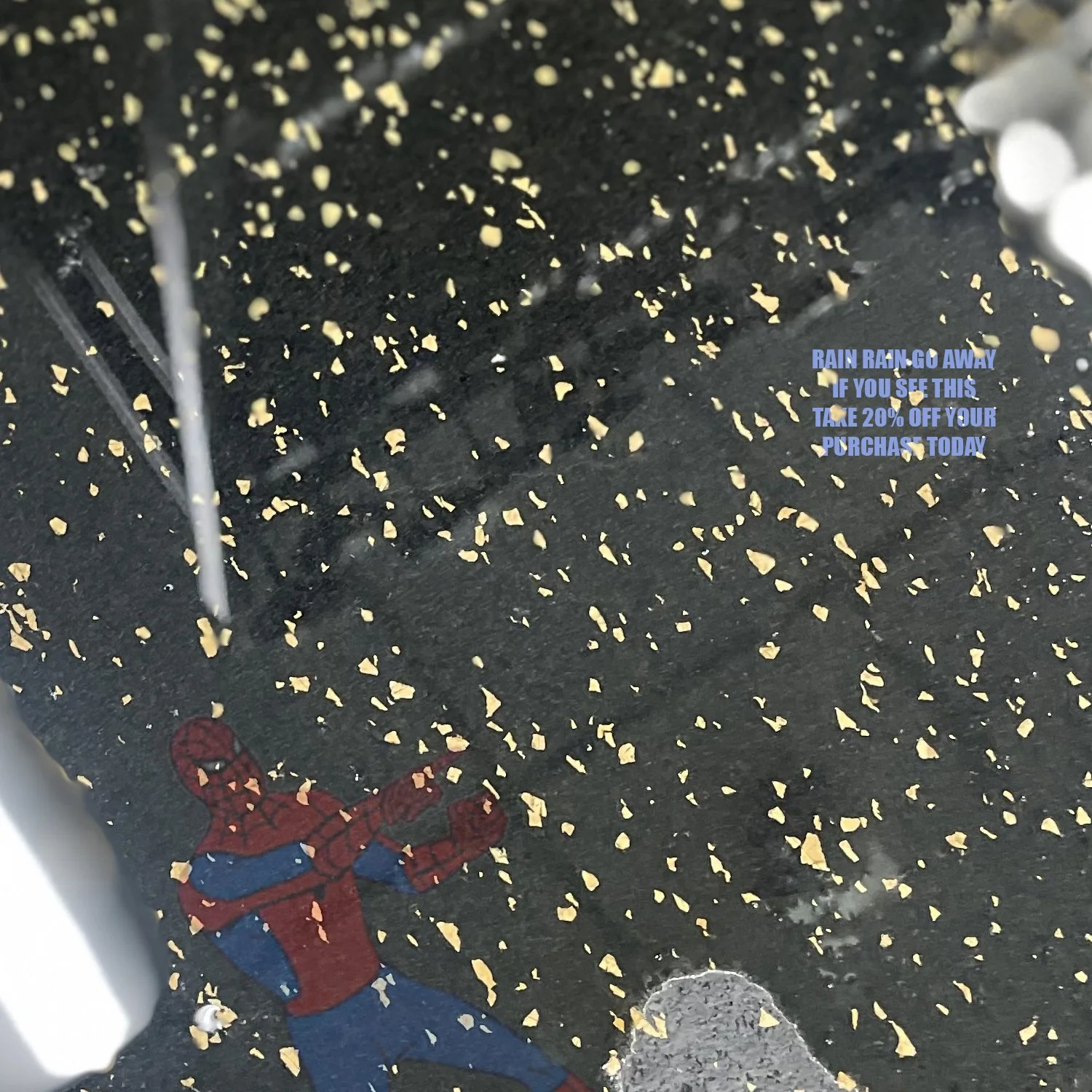 ZOOM IN!

#RenewSFS #VIral #rainamiright #Zoomin #Spring