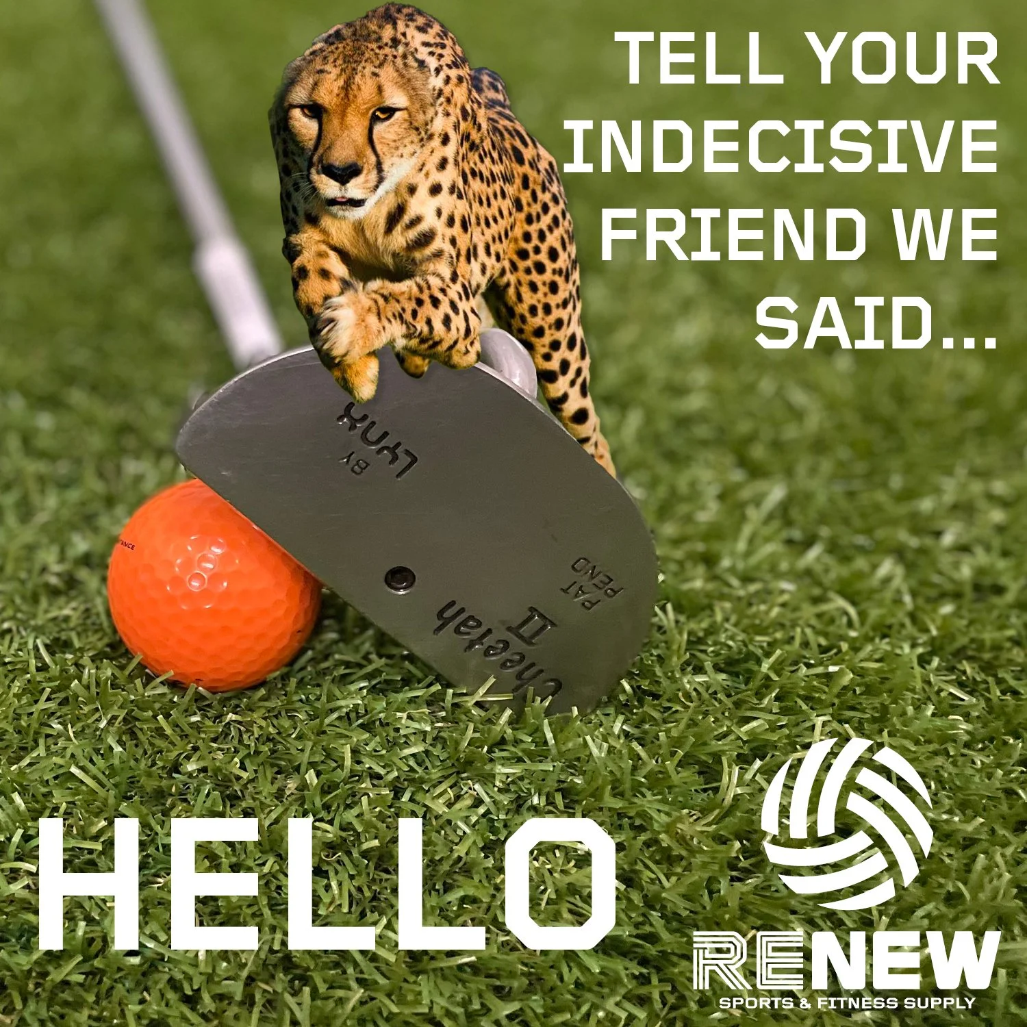 Can't decide if you're left or right-handed? Maybe you should try this two-way mallet putter and find out. 

#Cheetah #Golf #WauwatosaCheetah #TosaRocks #buyselltrade