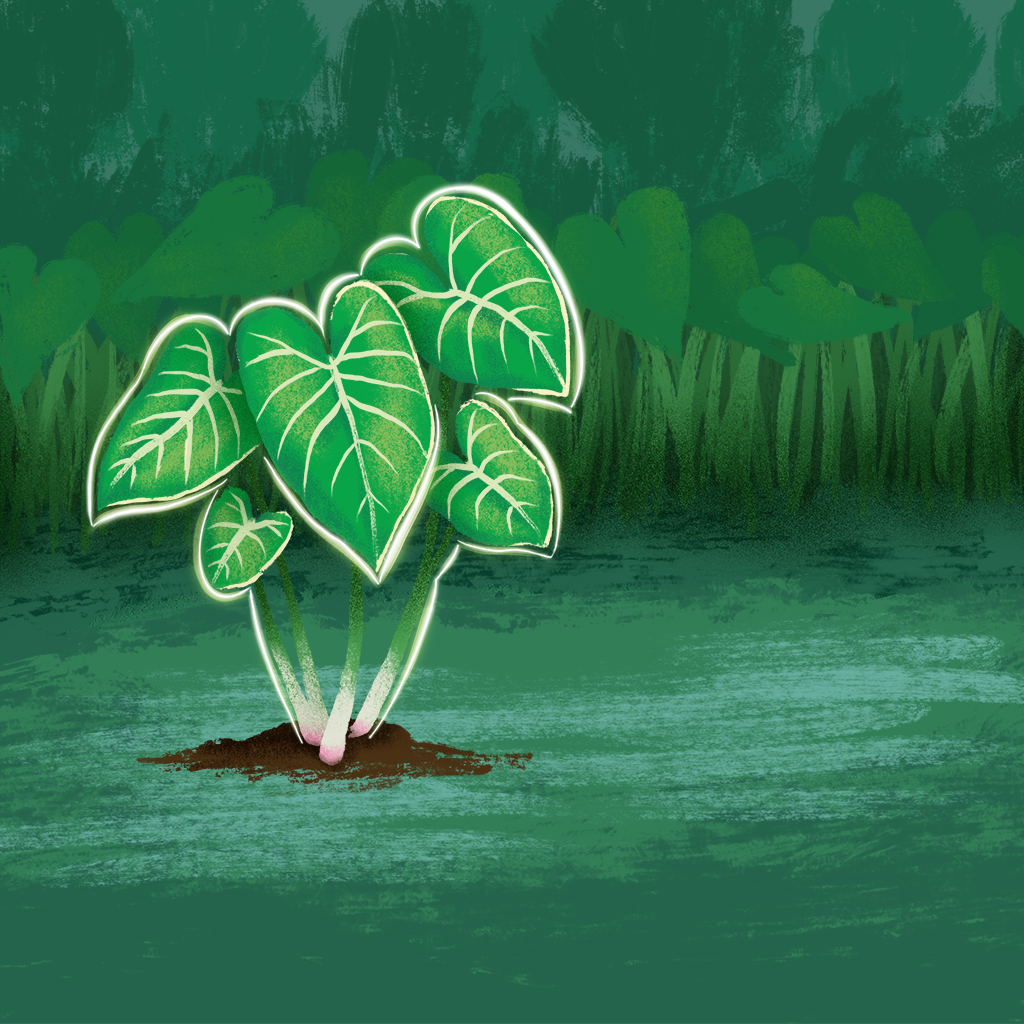 illustration_harvesting.png