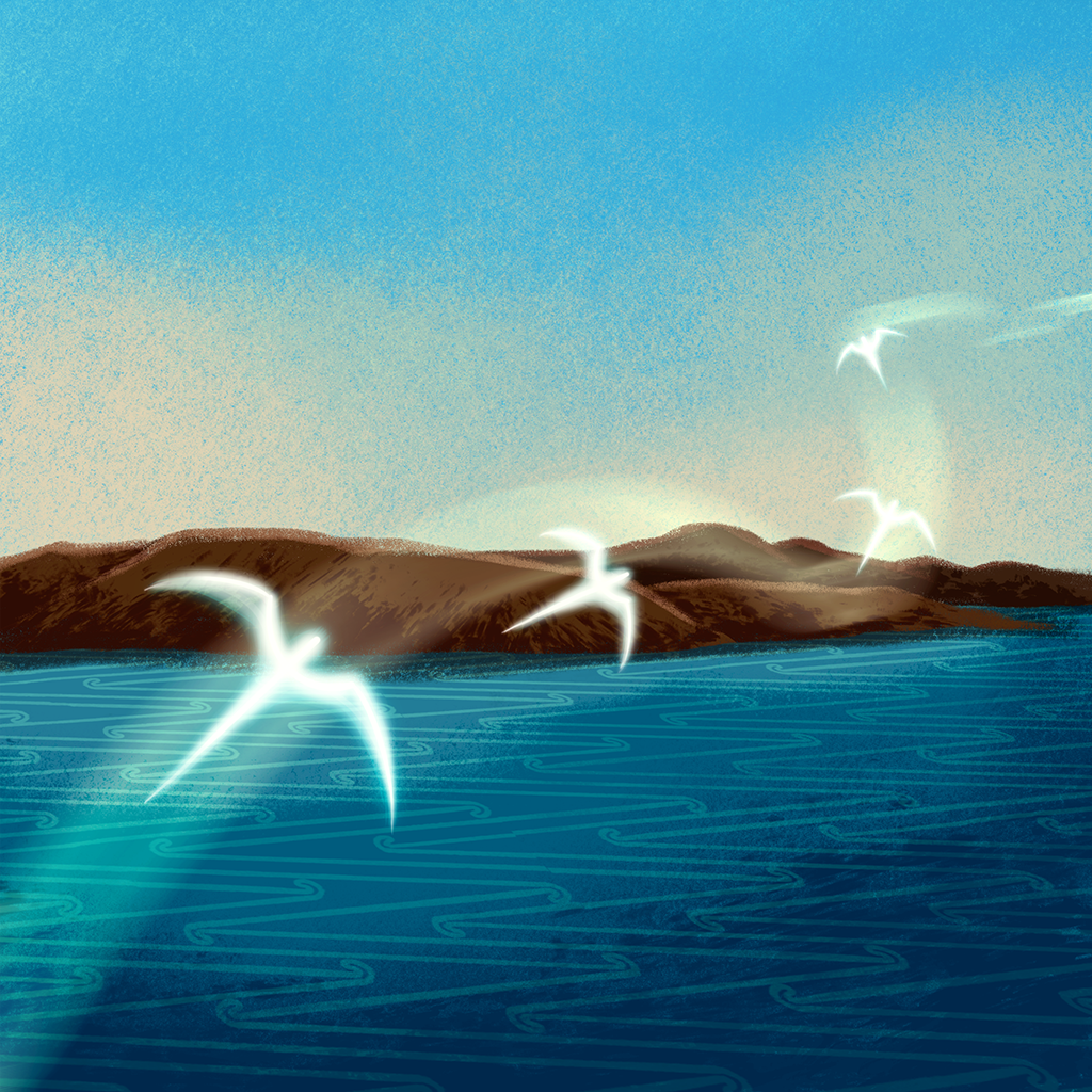 illustration_wildlife.png