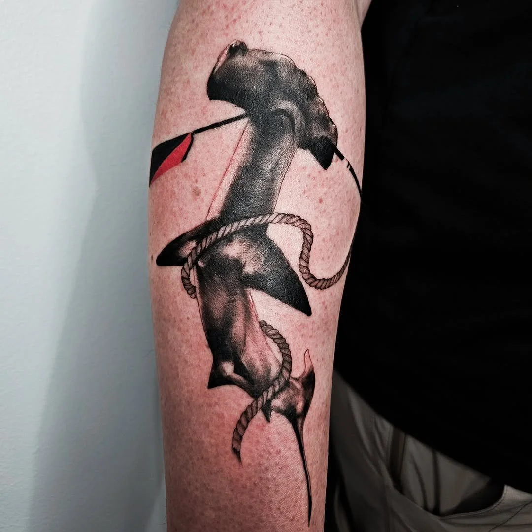 image - 2026-01-11T160720.537.jpg