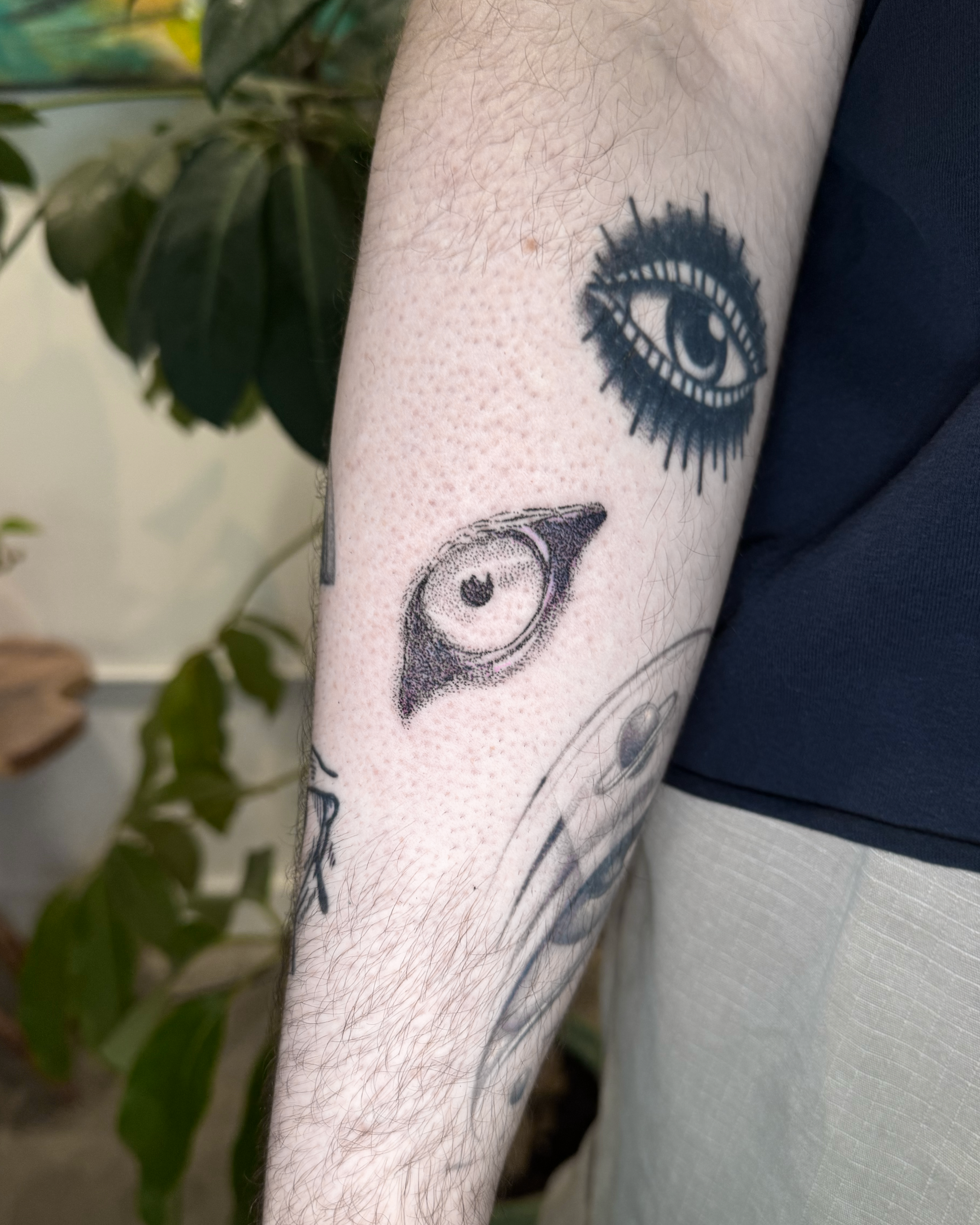 animal eye.PNG
