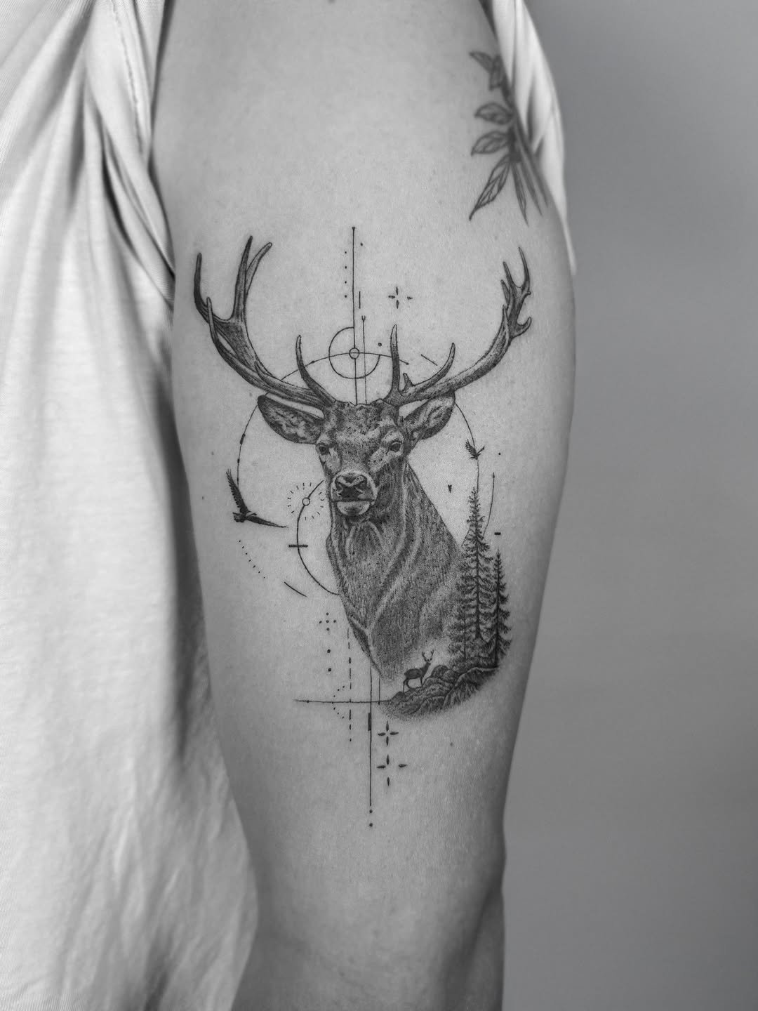 image - 2026-01-11T162726.067.jpg