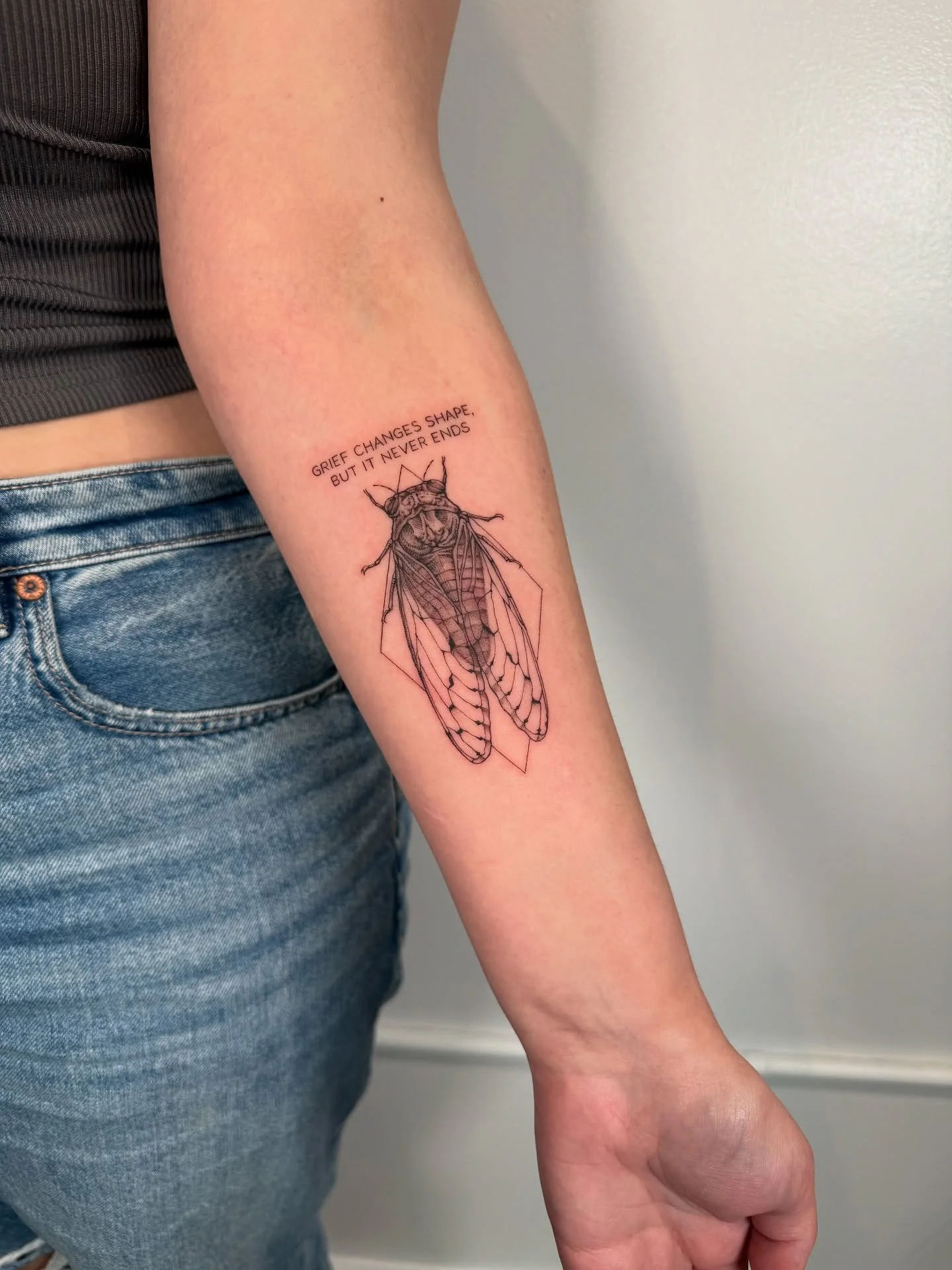 image - 2026-01-11T163029.283.jpg