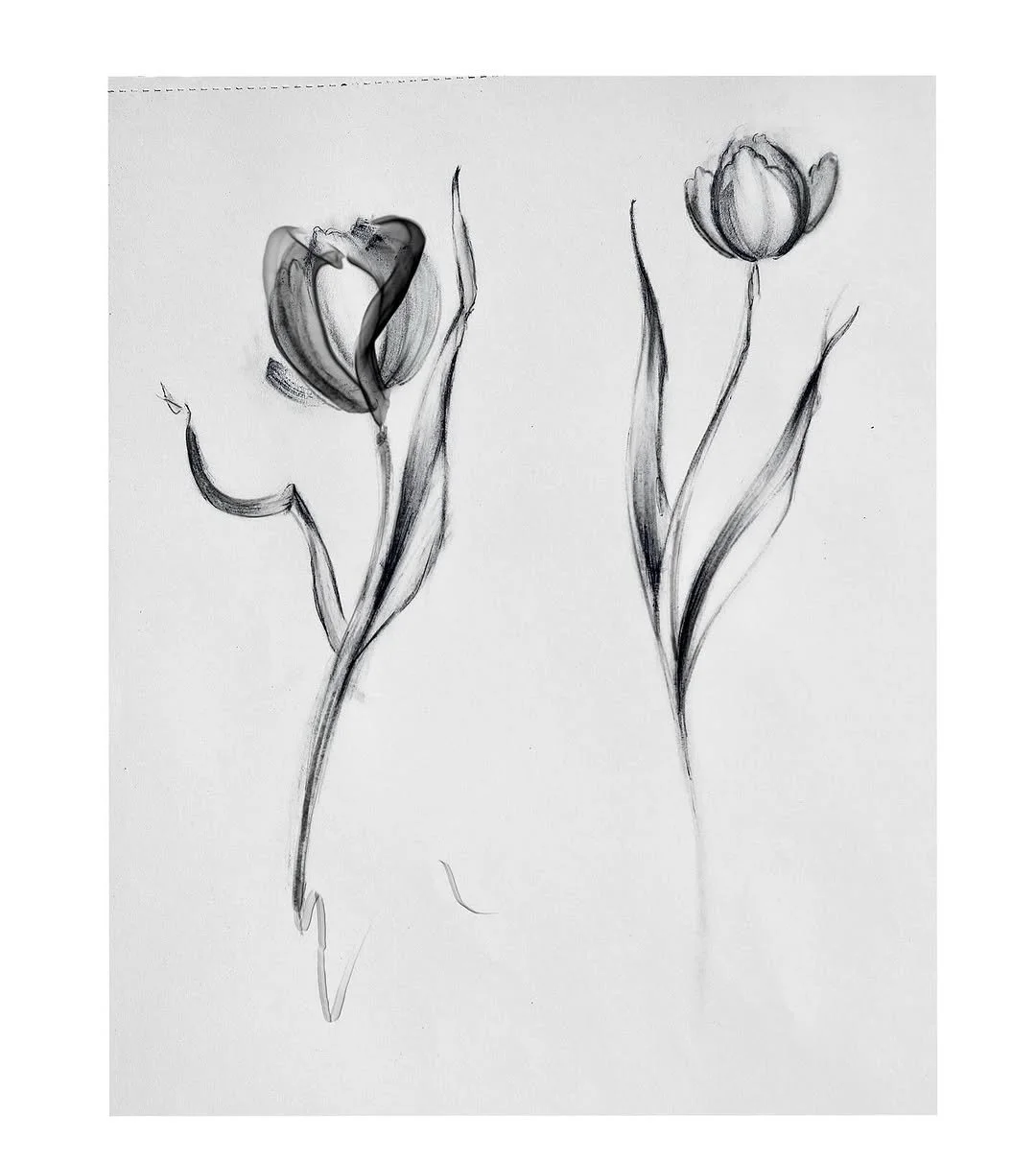 image (36).jpg