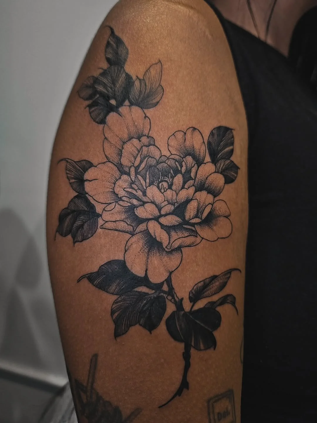 image - 2026-01-11T161608.495.jpg