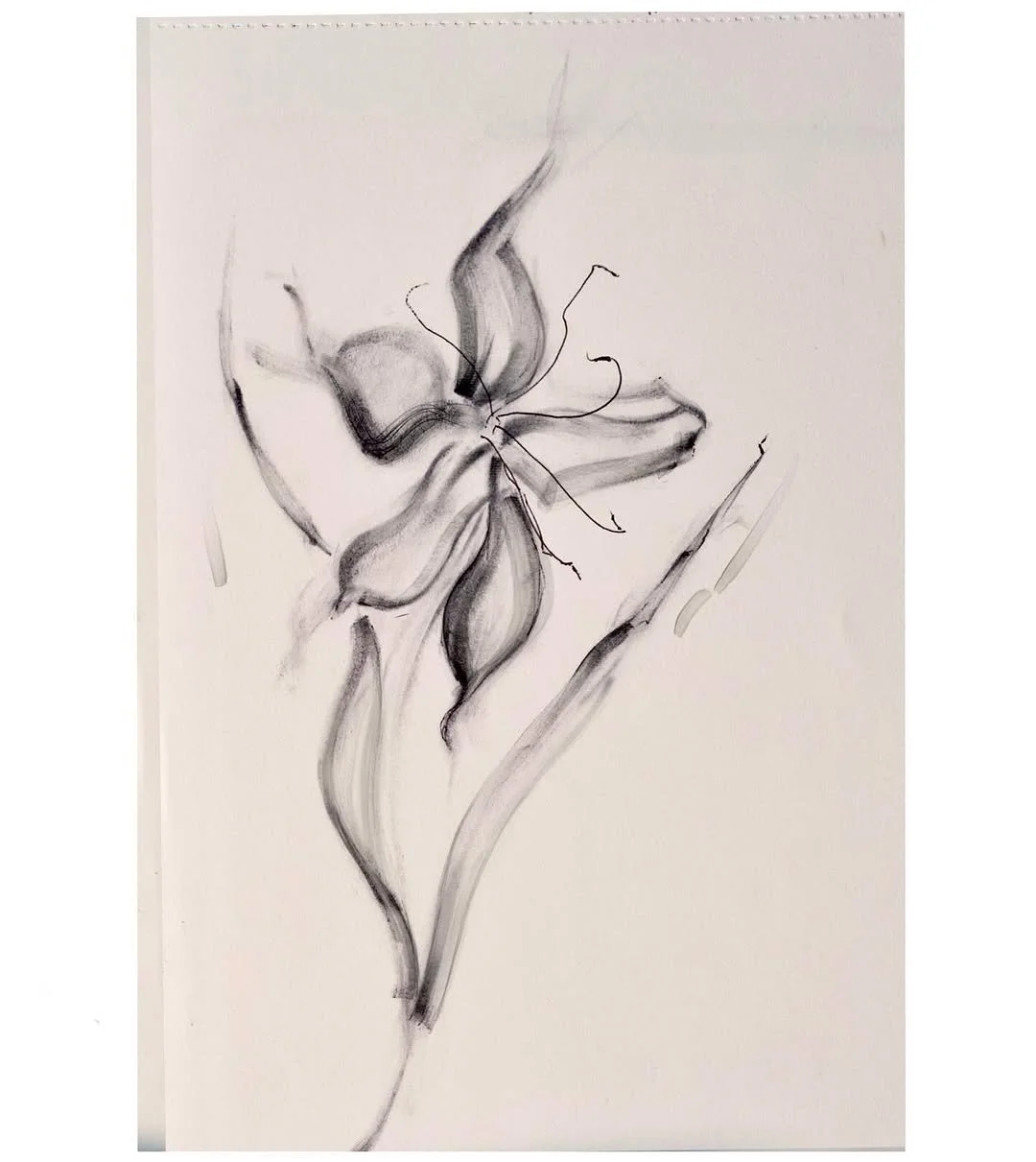 image (37).jpg