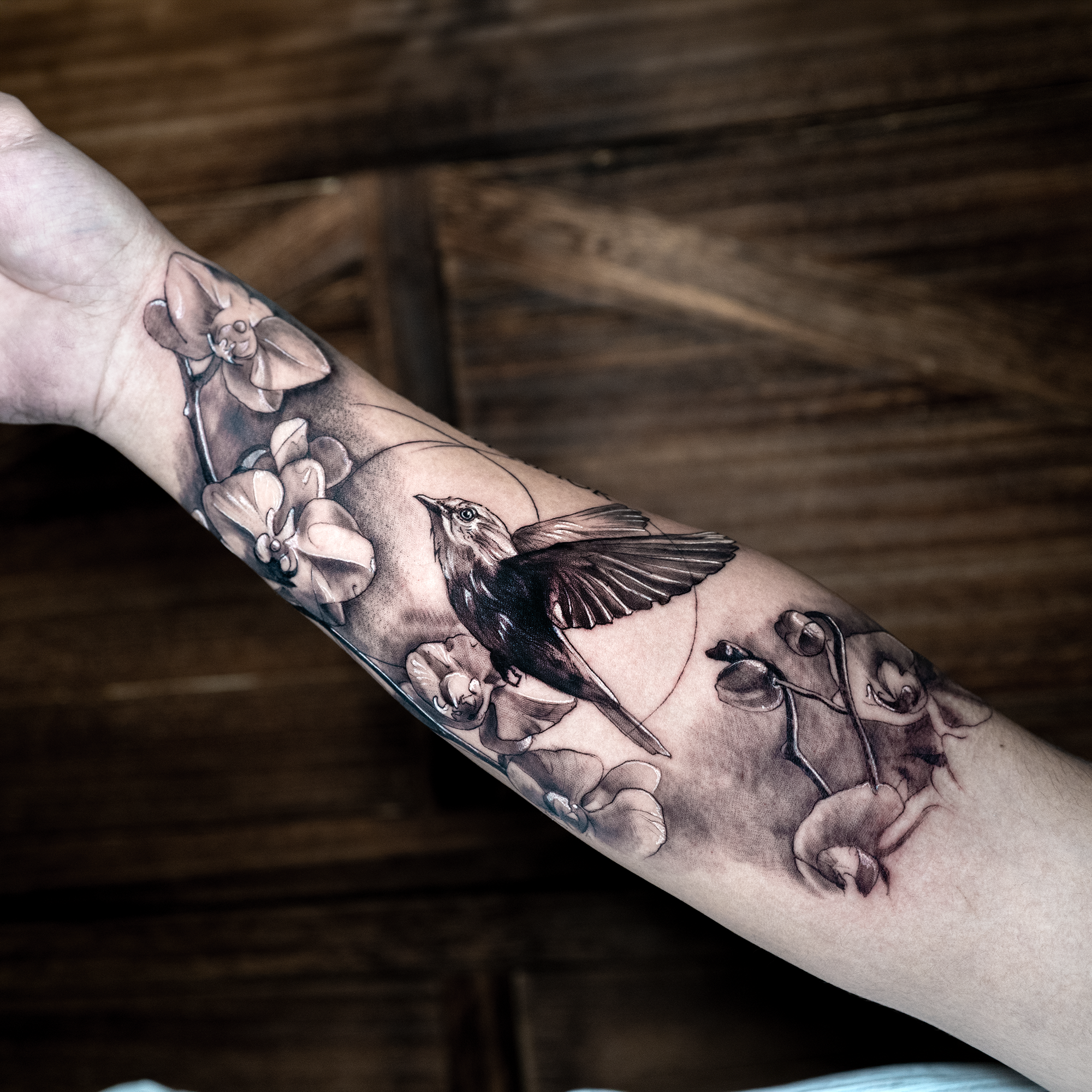 bird and orchids.png