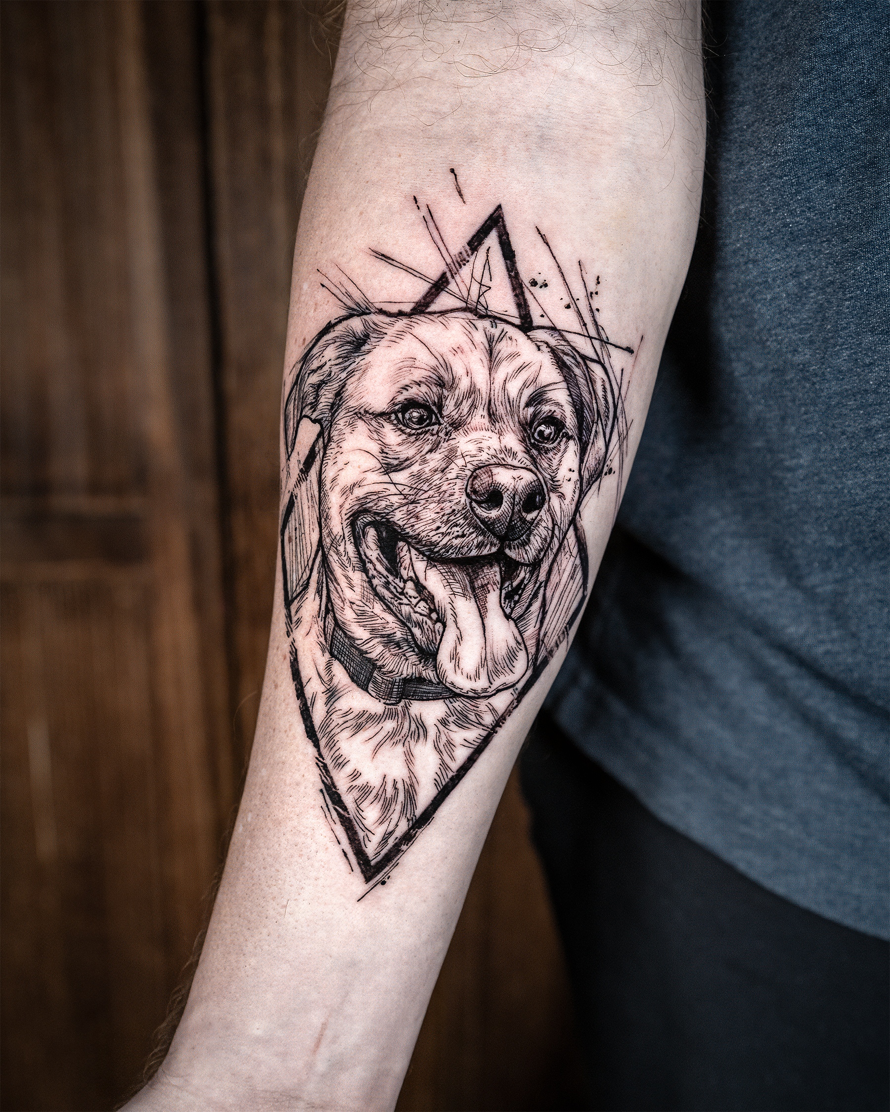 sketch dog portrait.png