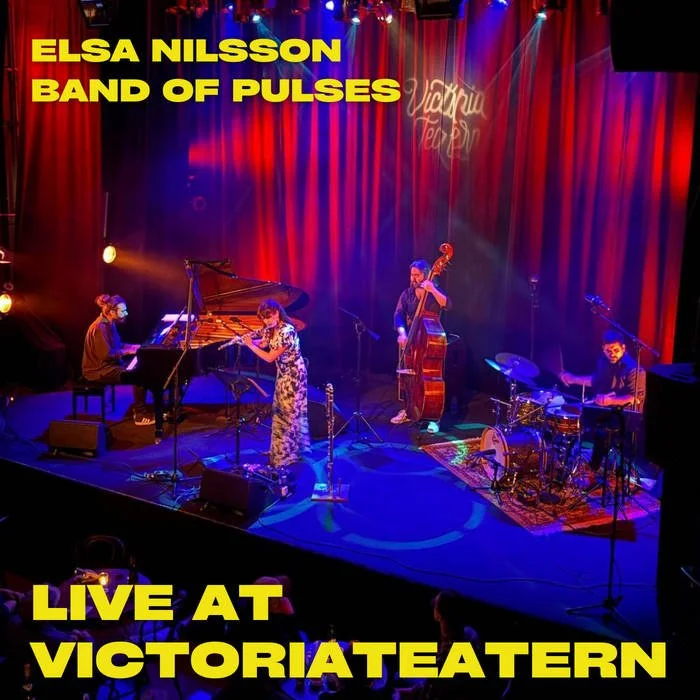 Band Of Pulses Live in Malmö