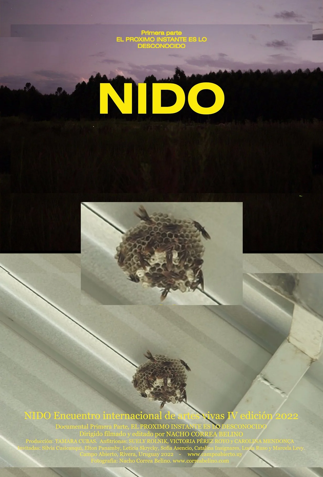 parte 1 poster vertical .jpg