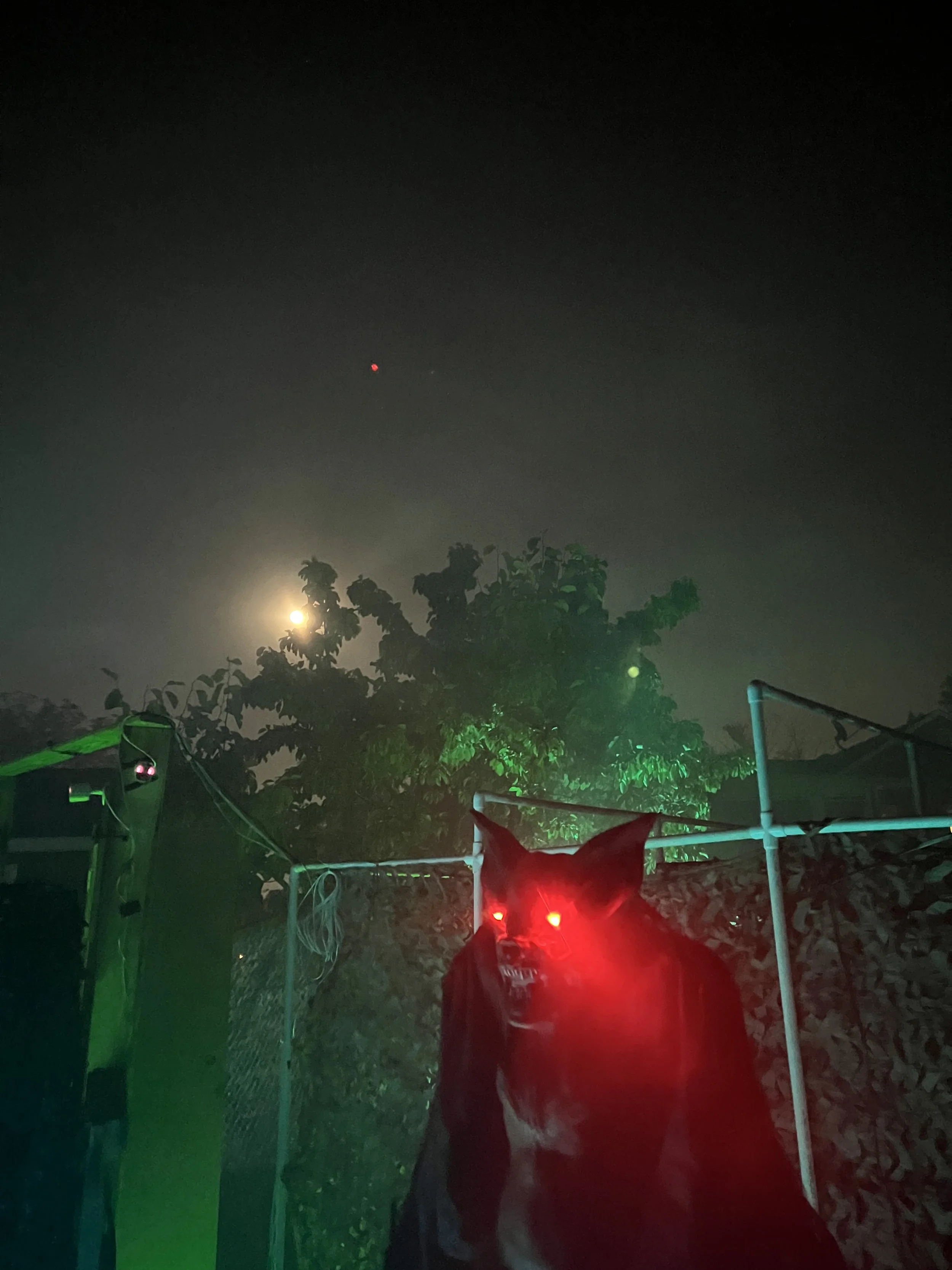 2024-10-18 20.43.04.jpg