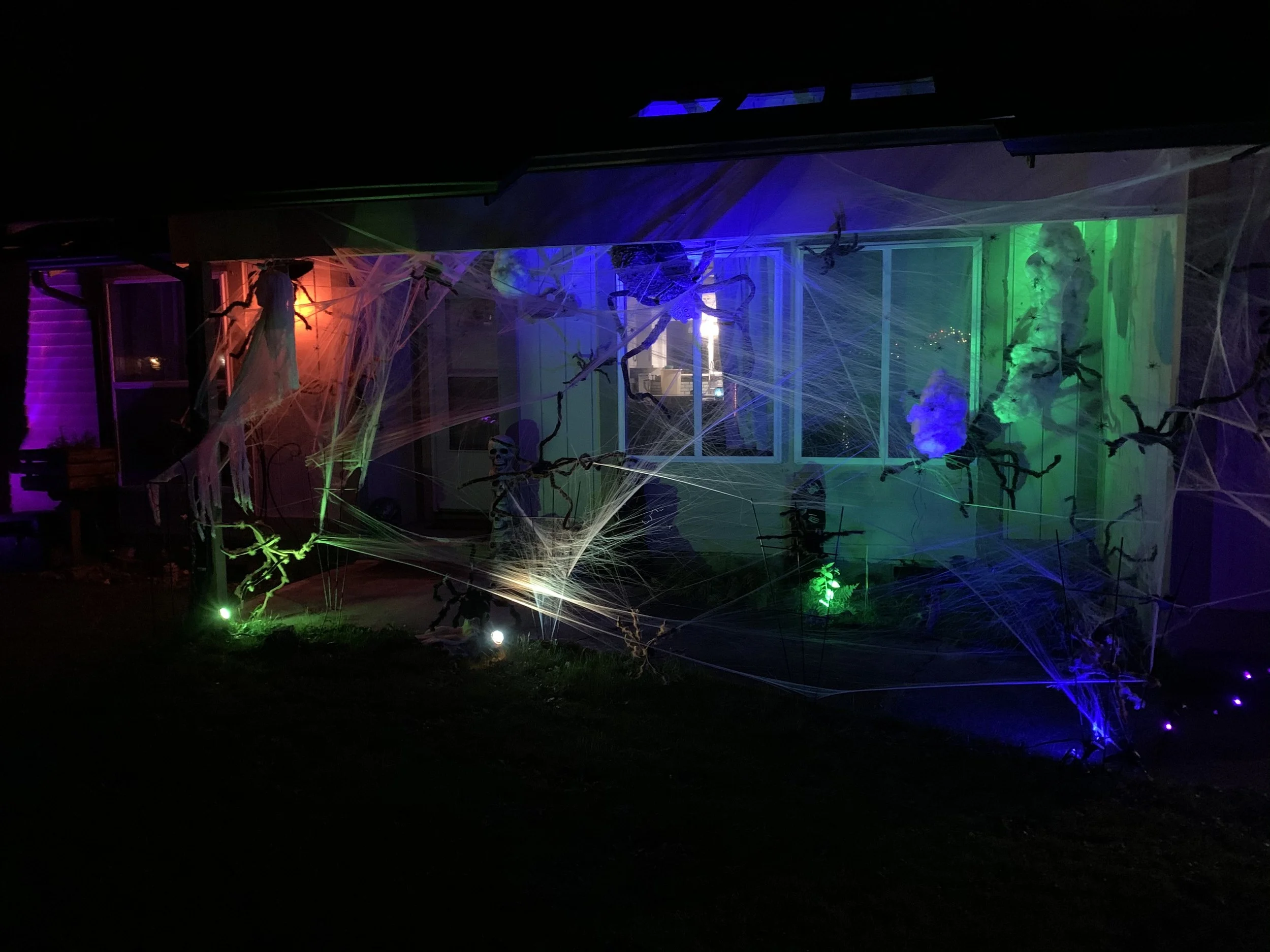 2020-10-10 19.56.32.jpg