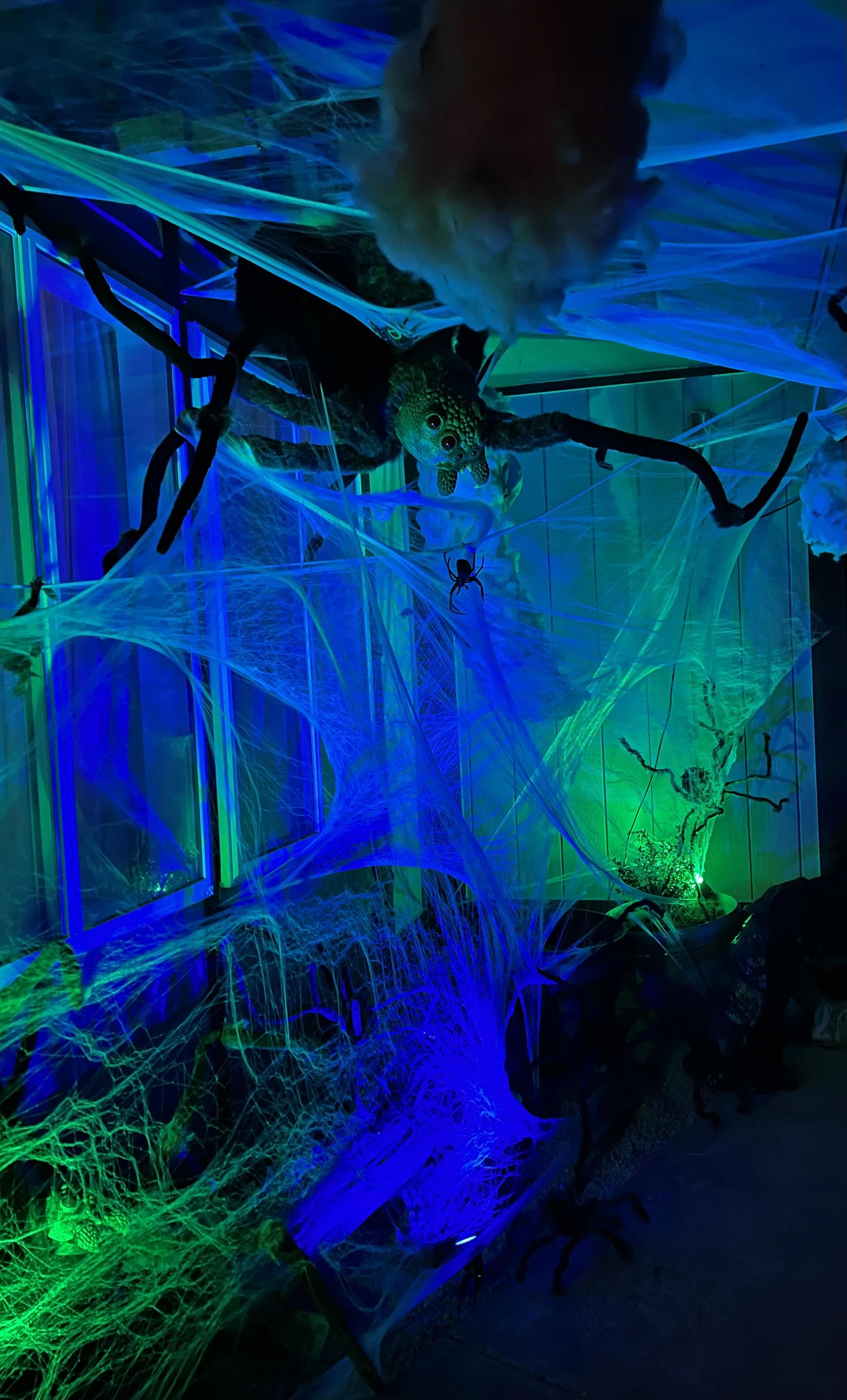 2022-10-19 20.42.51.jpg