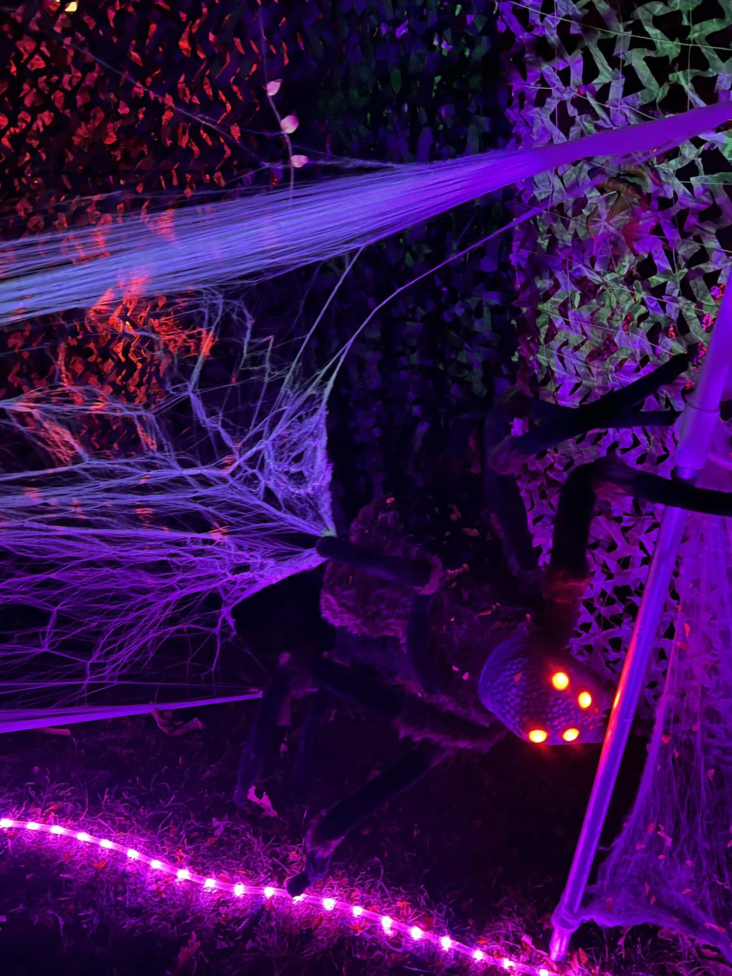 2024-10-19 22.08.39.jpg