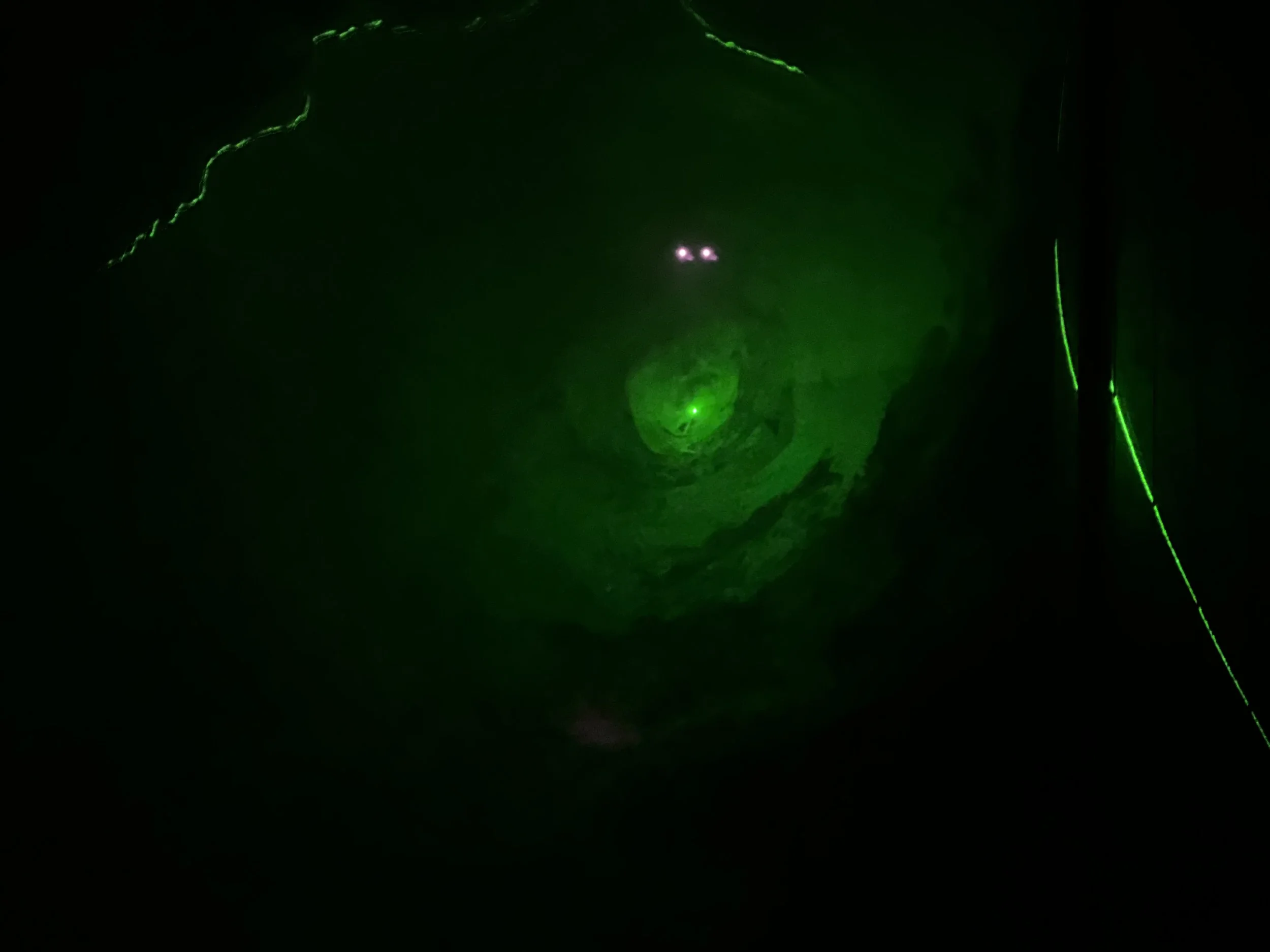 2023-11-01 01.33.31.jpg