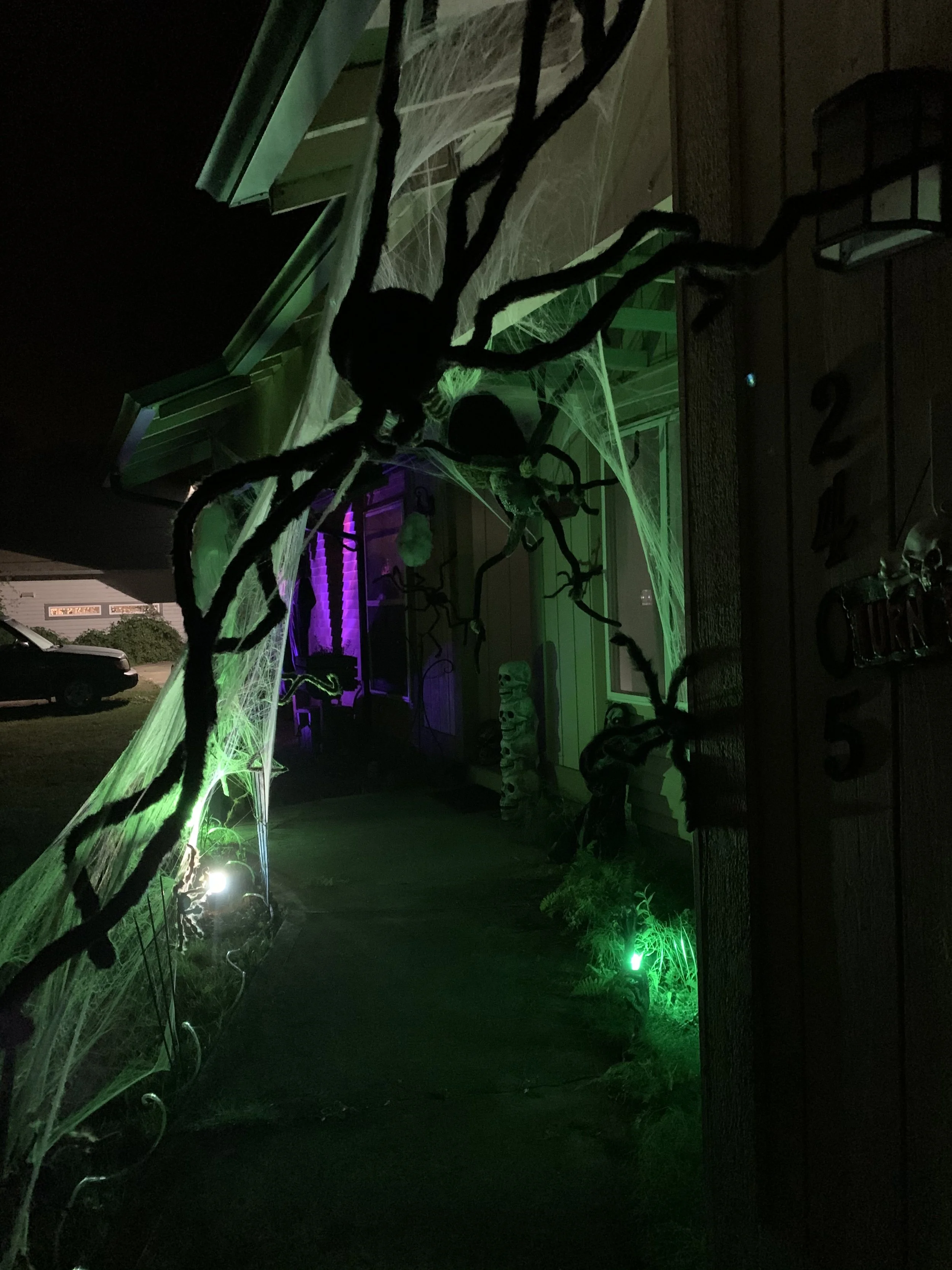 2020-10-03 20.29.22.jpg