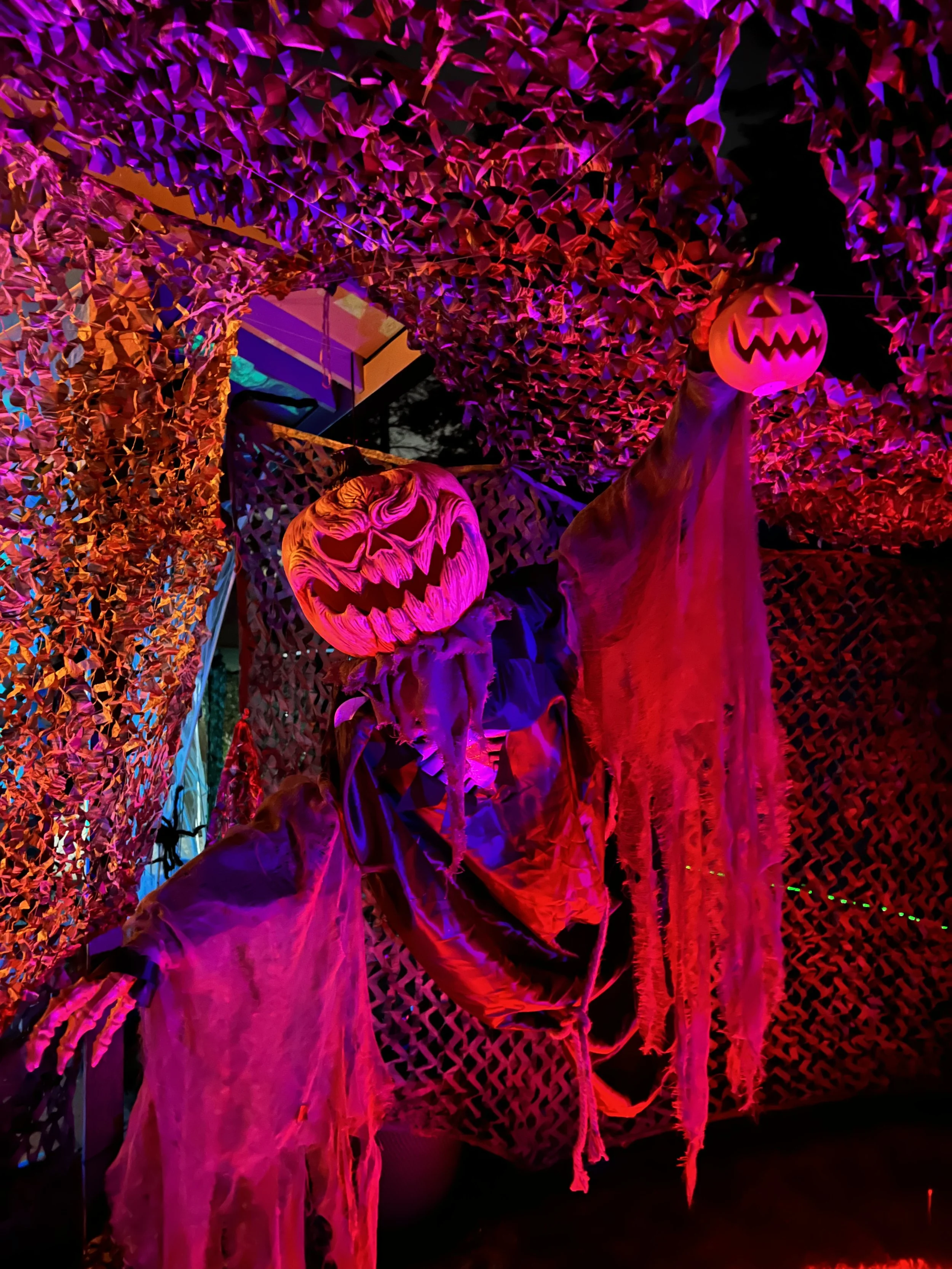 2022-10-19 20.44.10.jpg