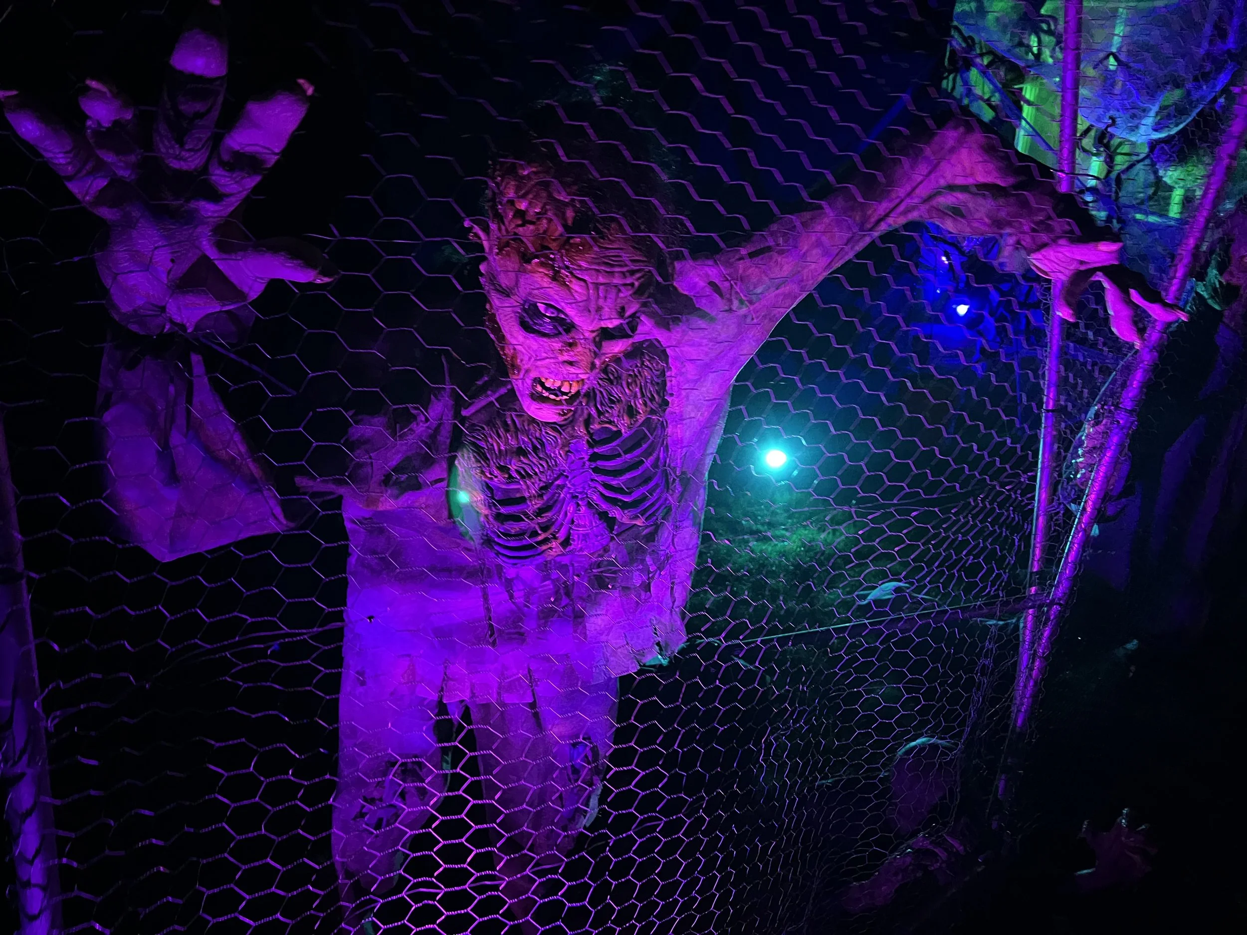 2023-10-21 00.17.40.jpg